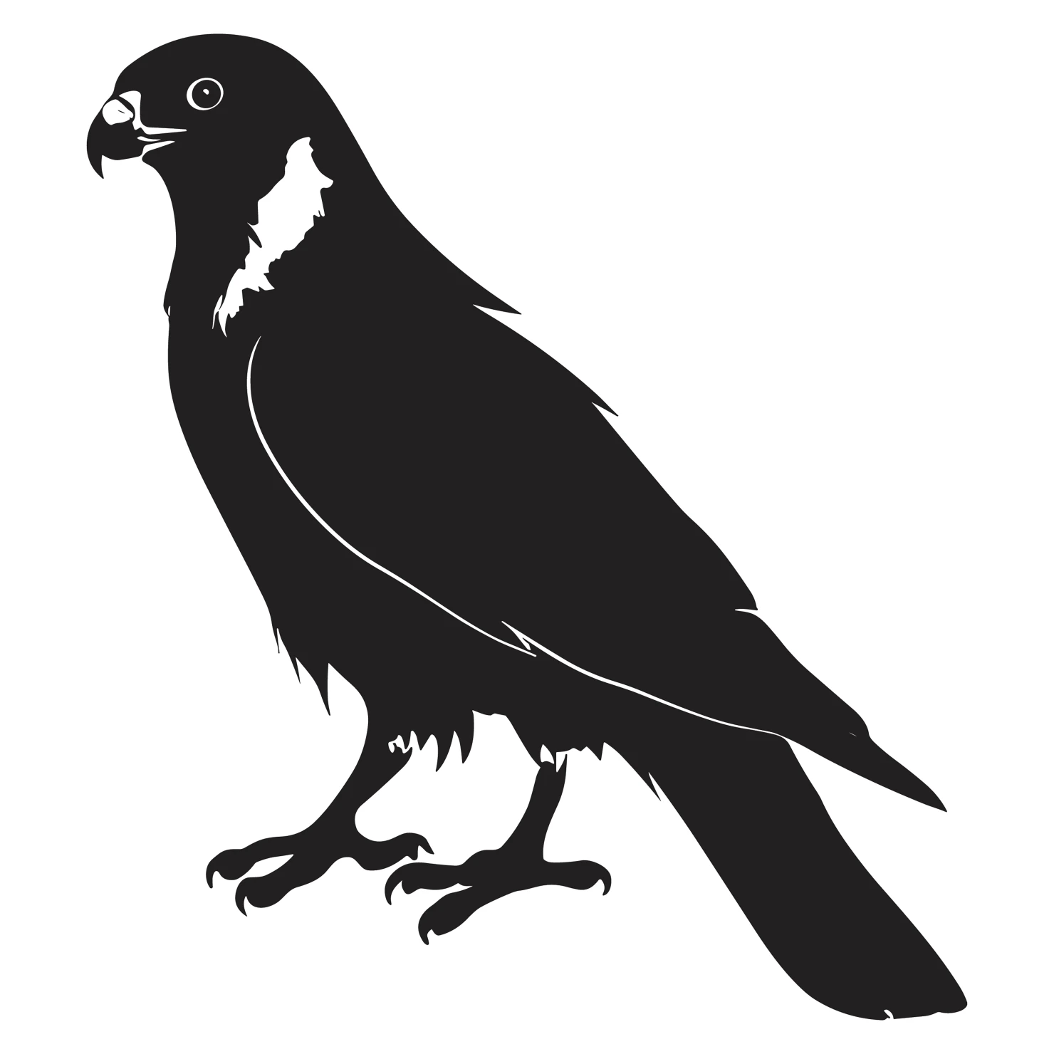 Falcon customizable silhouettes design #36289