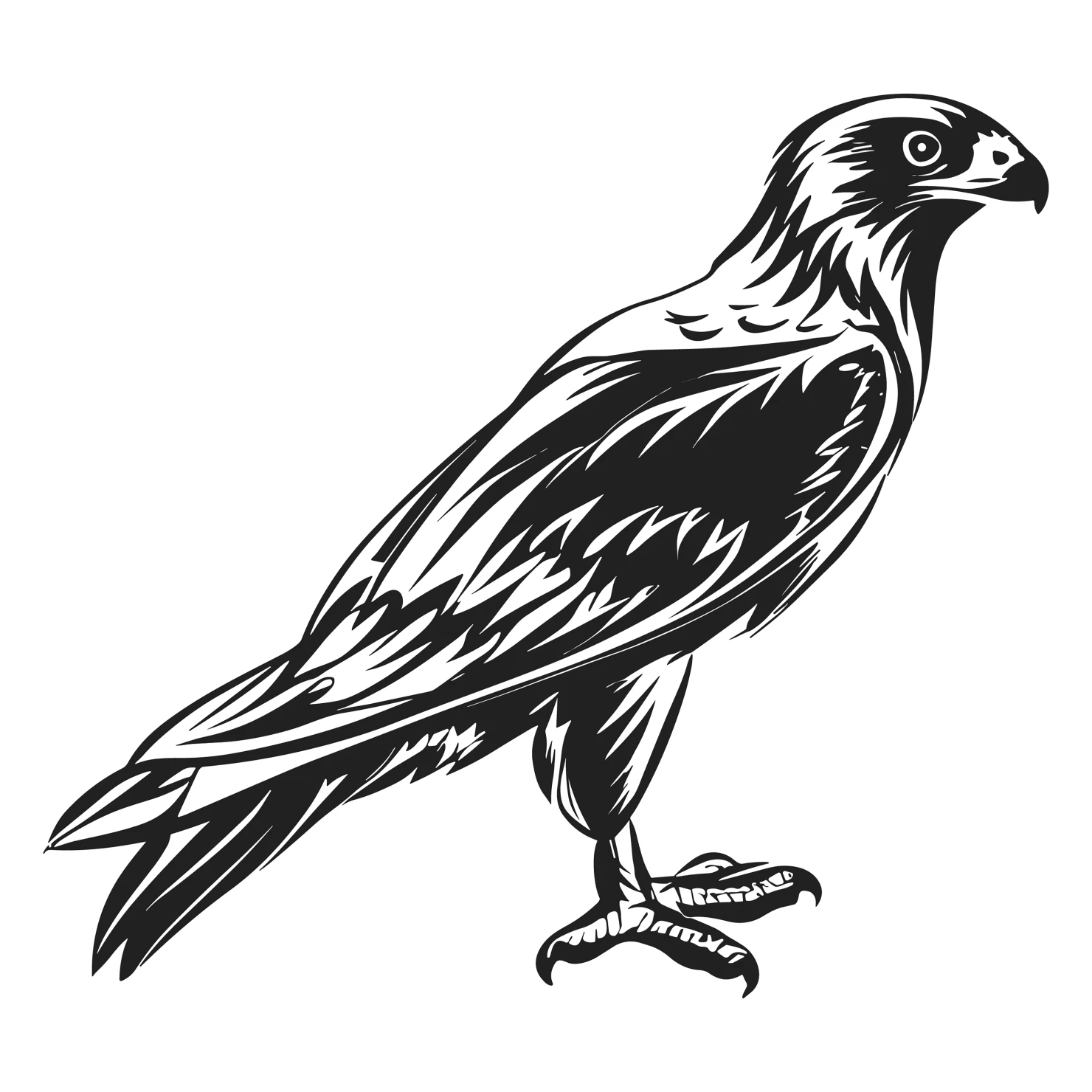 Falcon customizable clip art design #36292