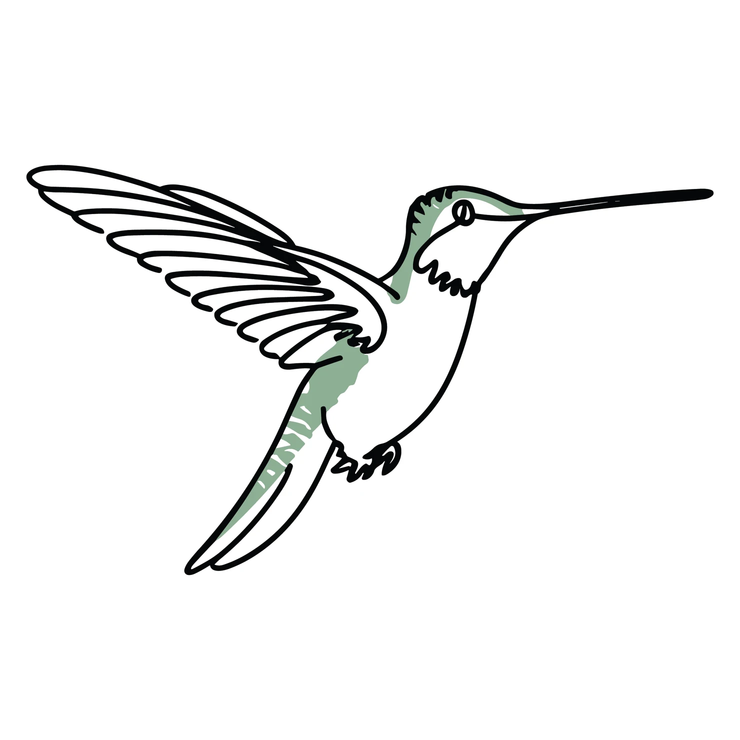 Humming bird customizable clip art design #36297