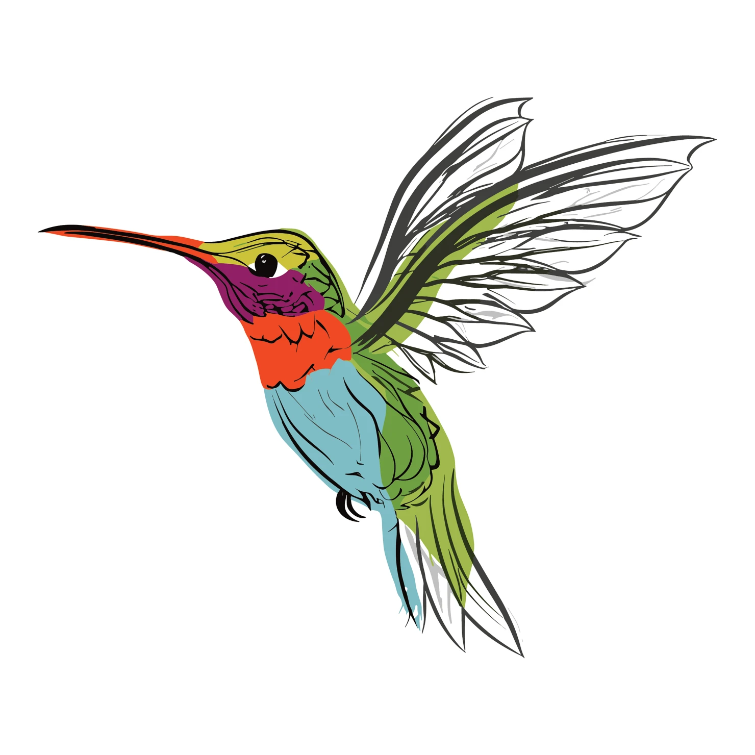 Humming bird customizable clip art design #36305
