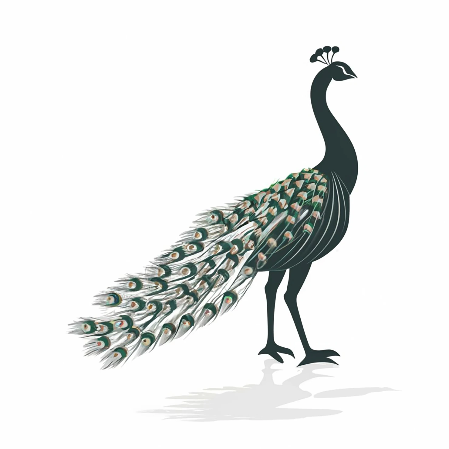 Peacock customizable clip art design #36341