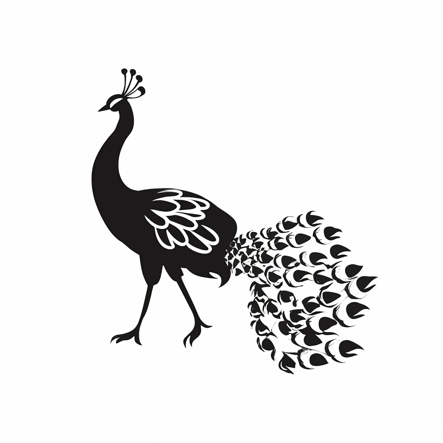 Peacock customizable silhouettes design #36344