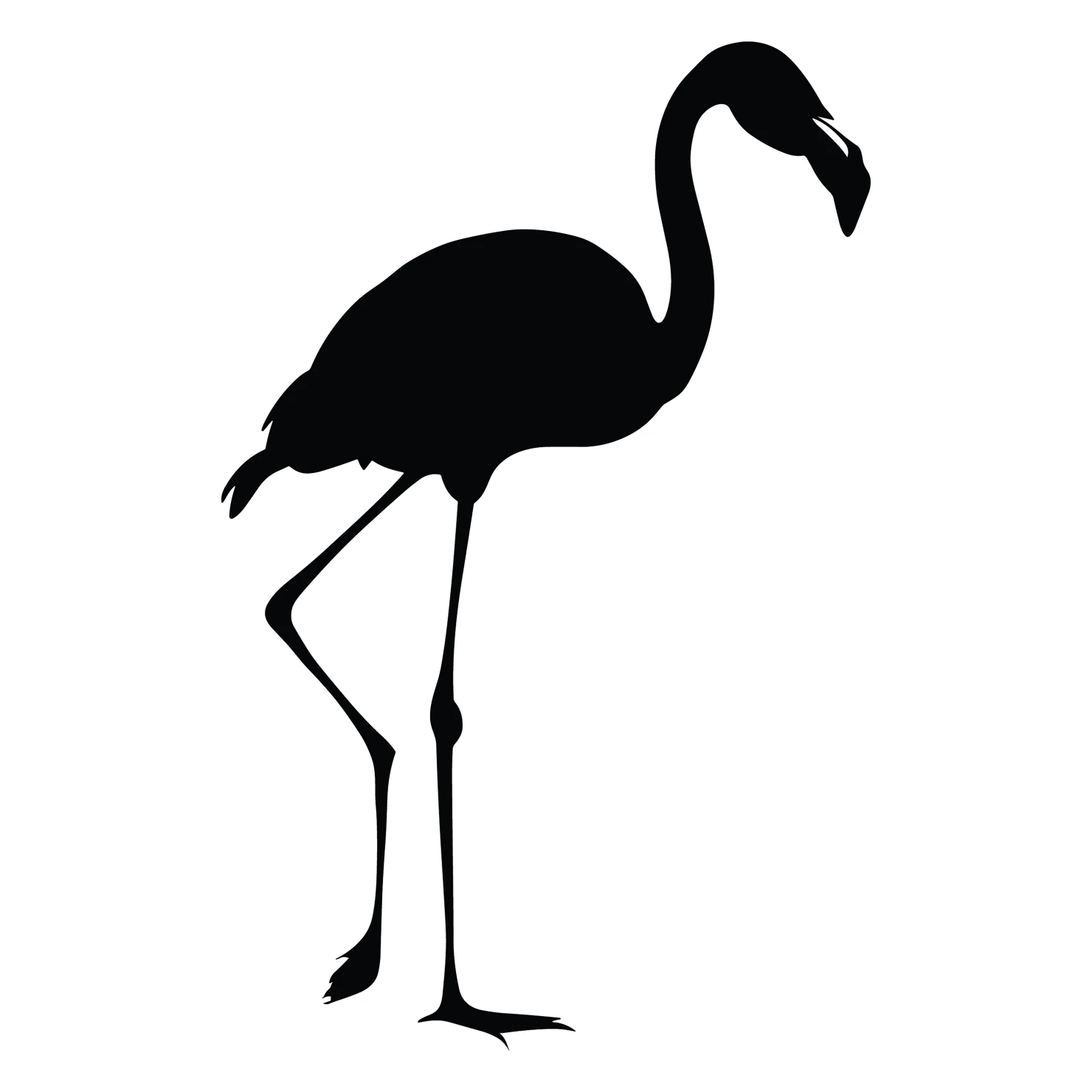 Flamingo customizable silhouettes design #36349