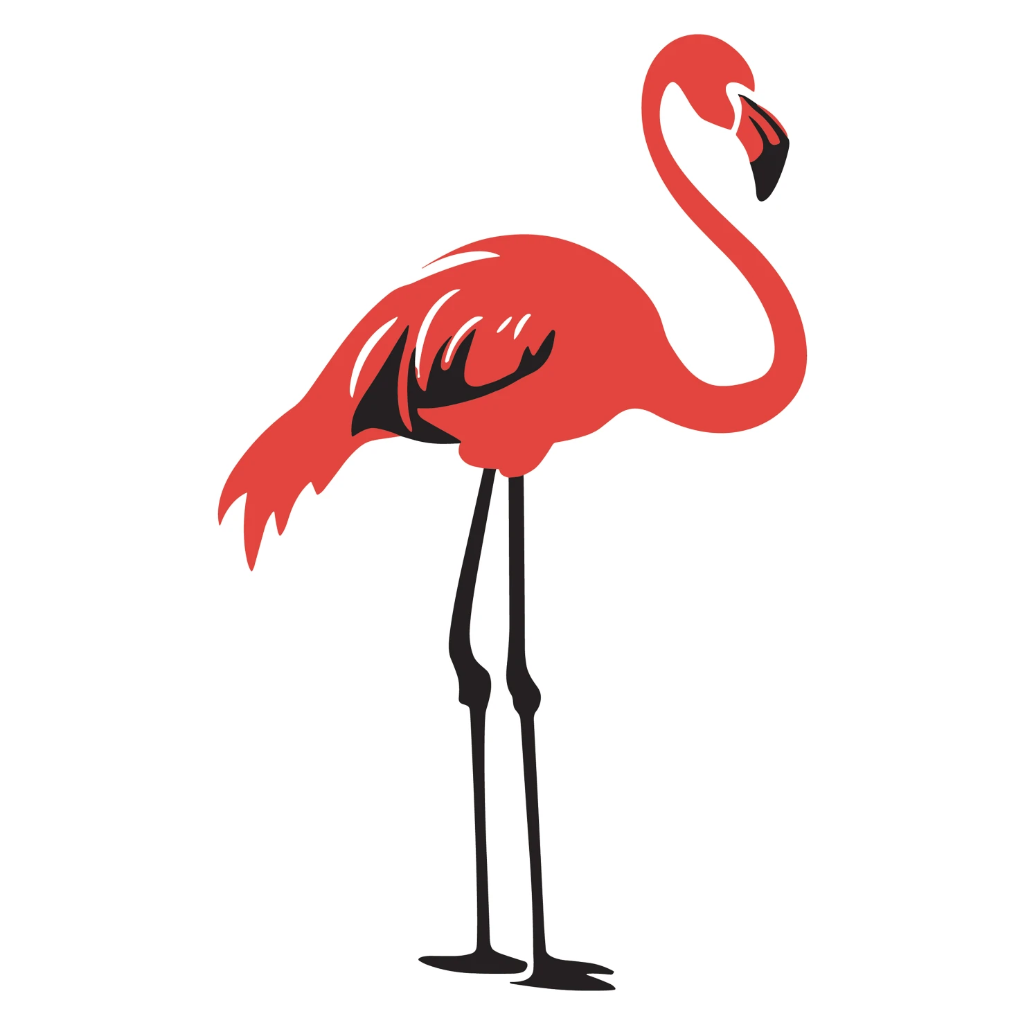 Flamingo customizable clip art design #36364