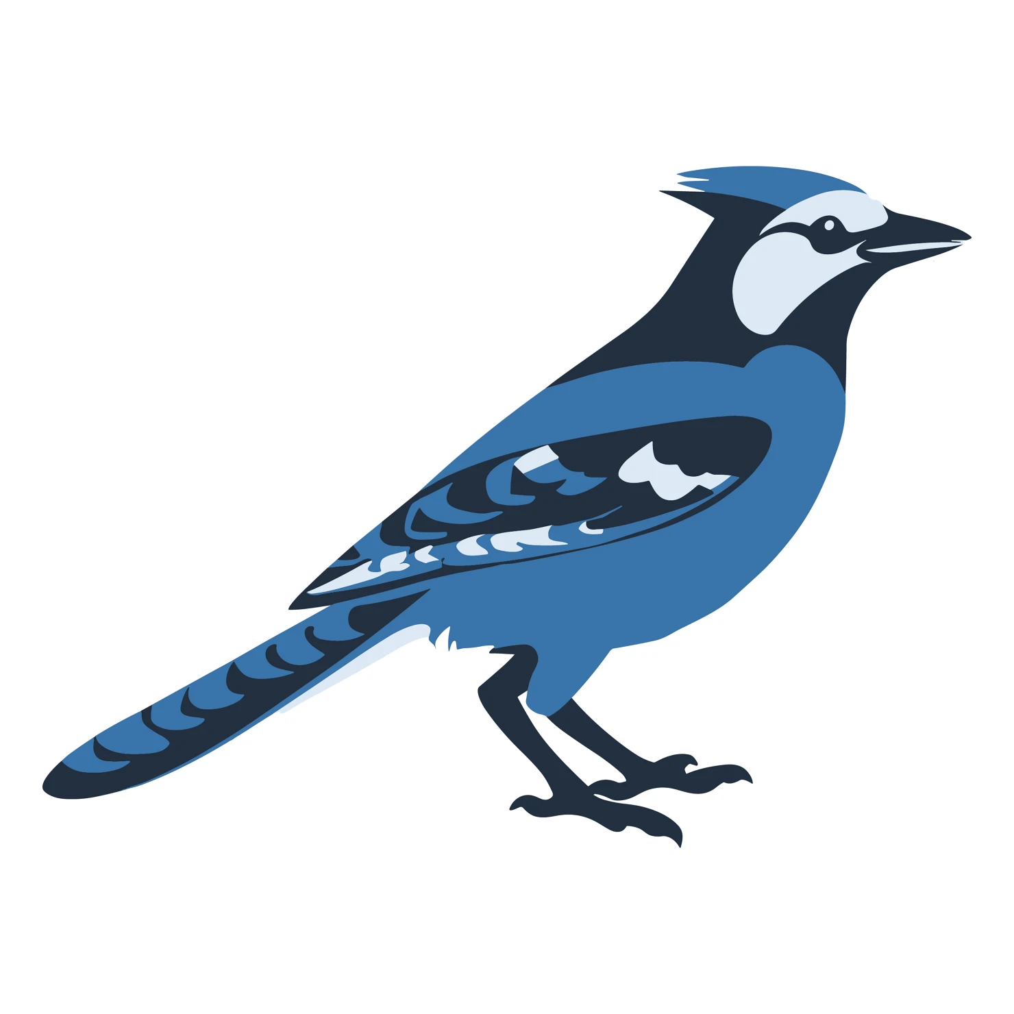 Blue jay customizable clip art design #36387