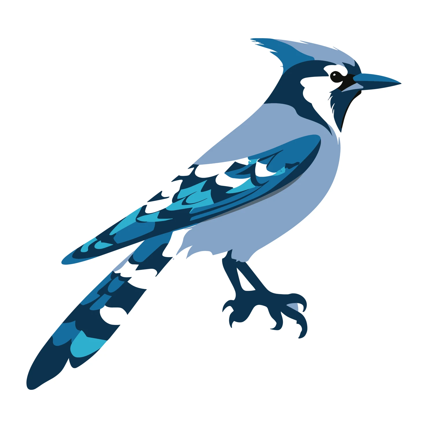 Blue jay customizable clip art design #36389