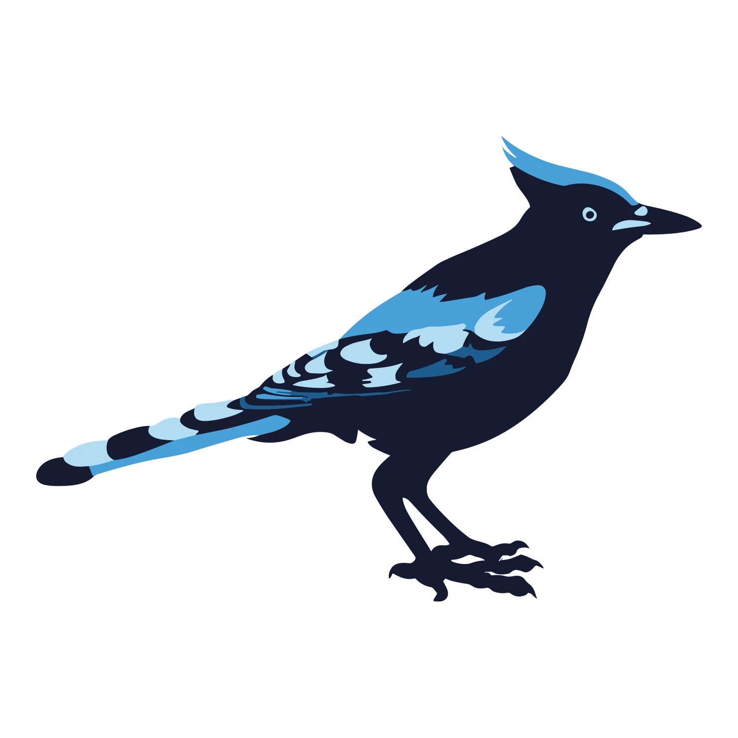 Blue jay customizable clip art design #36391