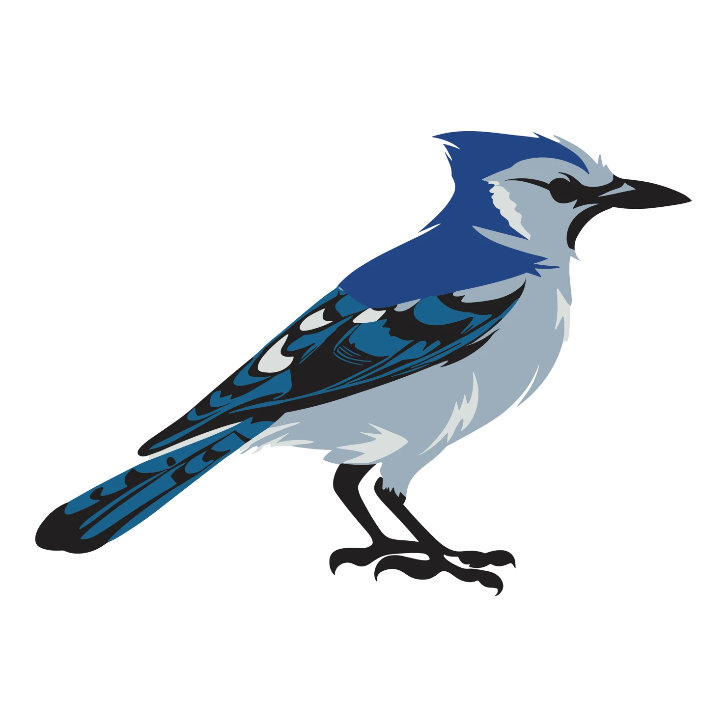 Blue jay customizable clip art design #36393