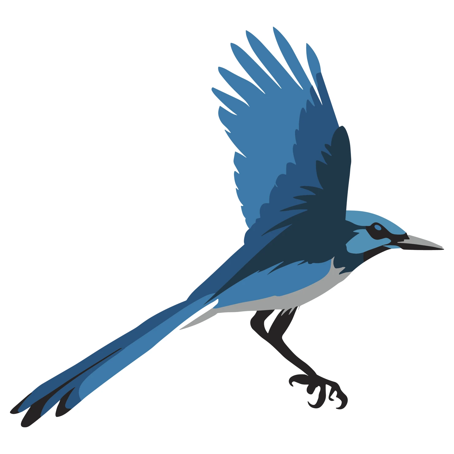 Blue jay customizable clip art design #36401