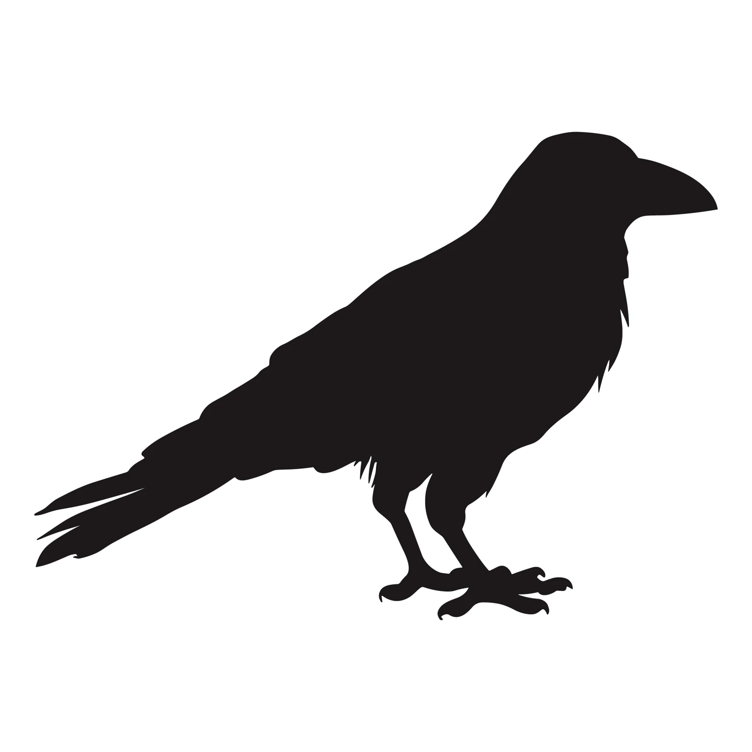 Crow customizable silhouettes design #36413