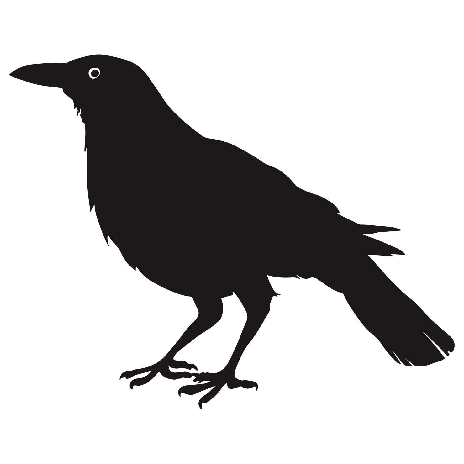 Crow customizable silhouettes design #36416