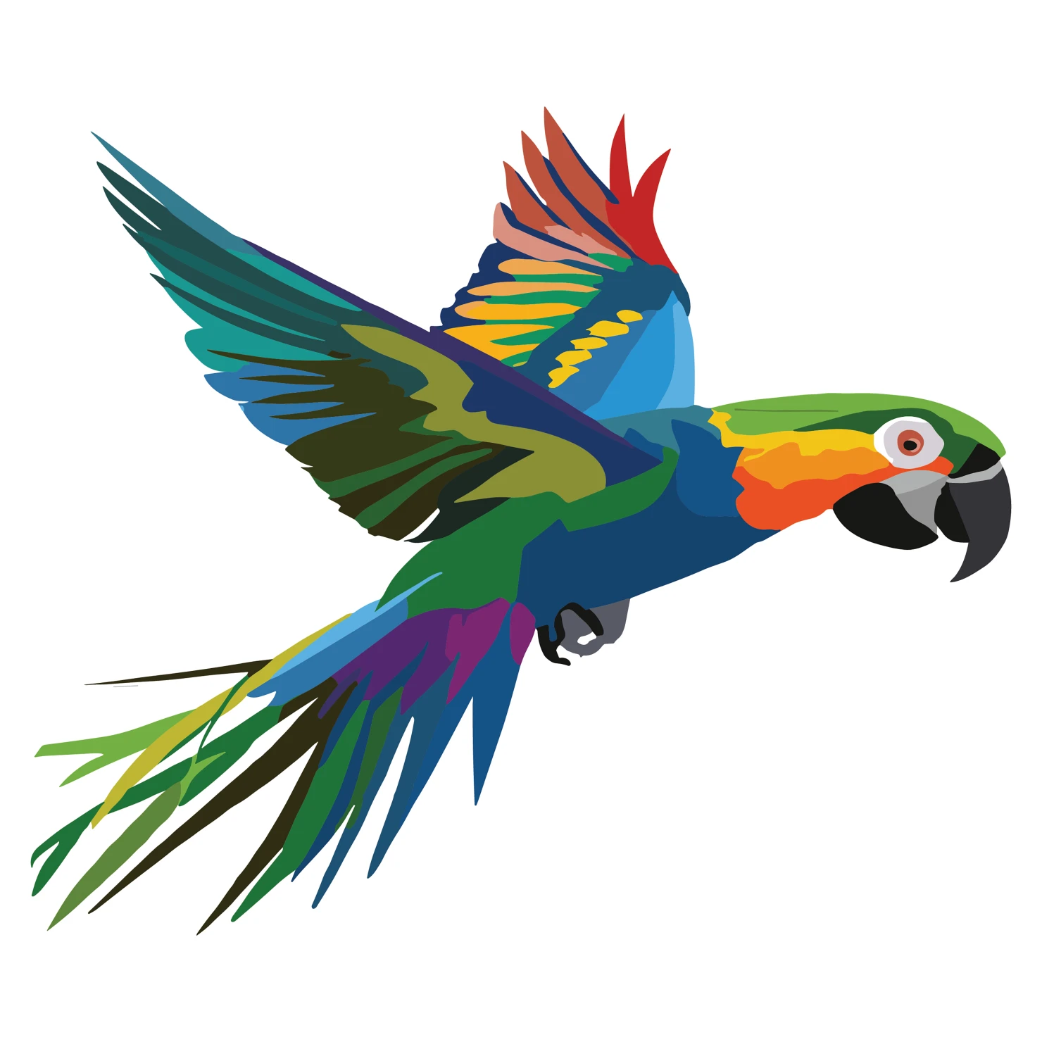 Parrot customizable clip art design #36427