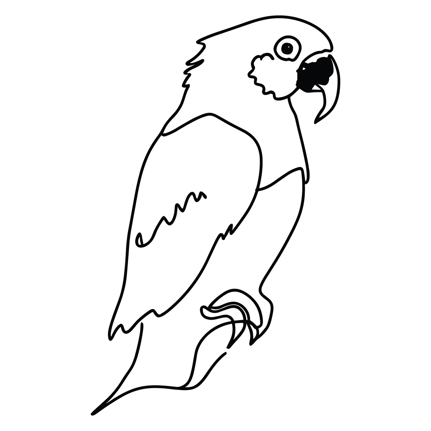 Parrot customizable clip art design #36441