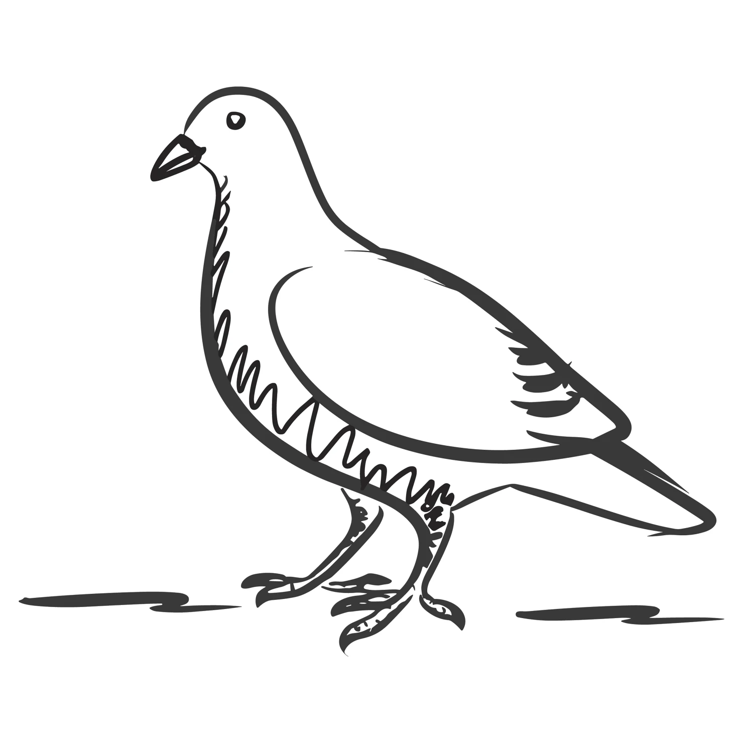 Pigeon customizable clip art design #36479