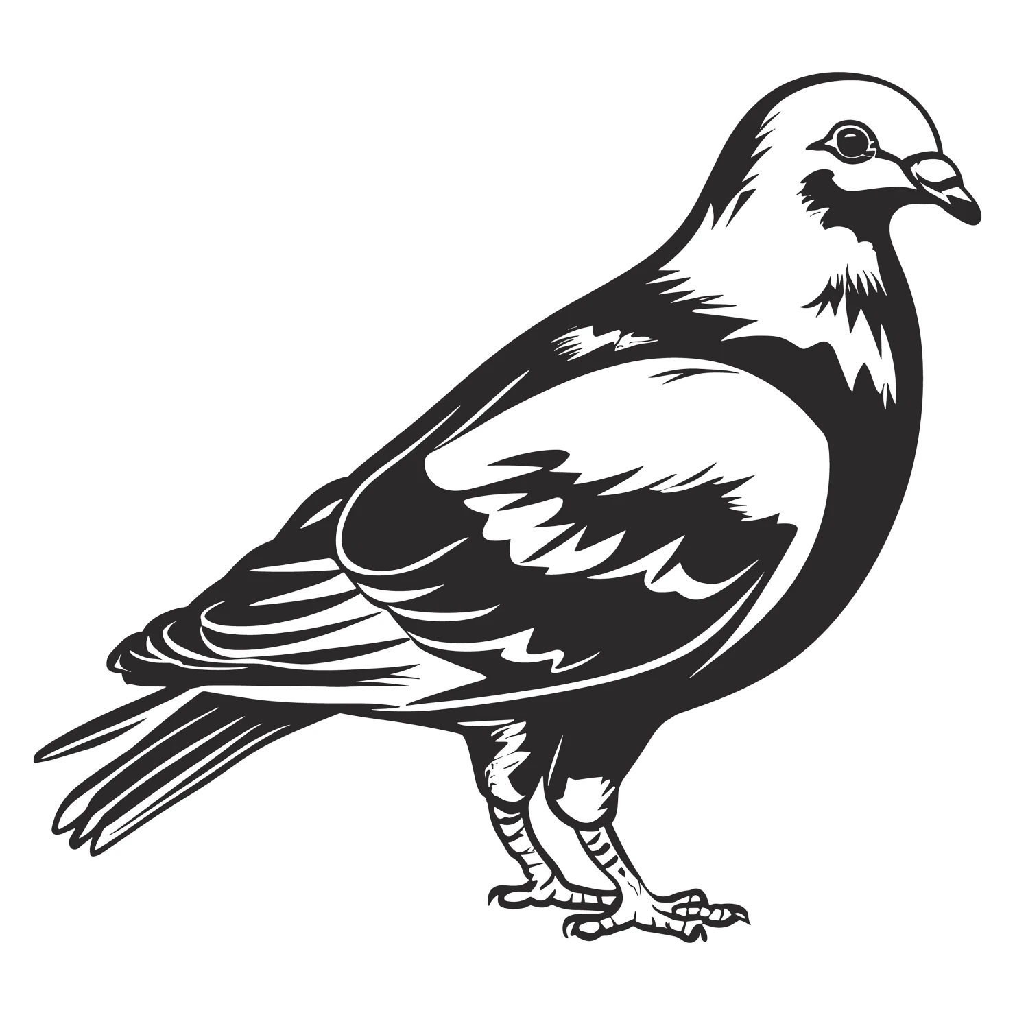 Pigeon customizable clip art design #36480