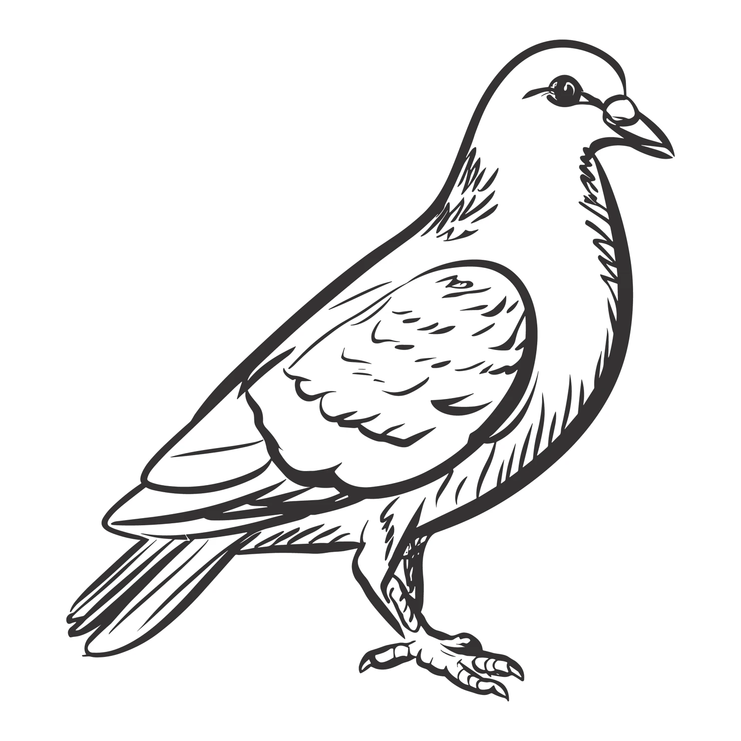 Pigeon customizable clip art design #36482