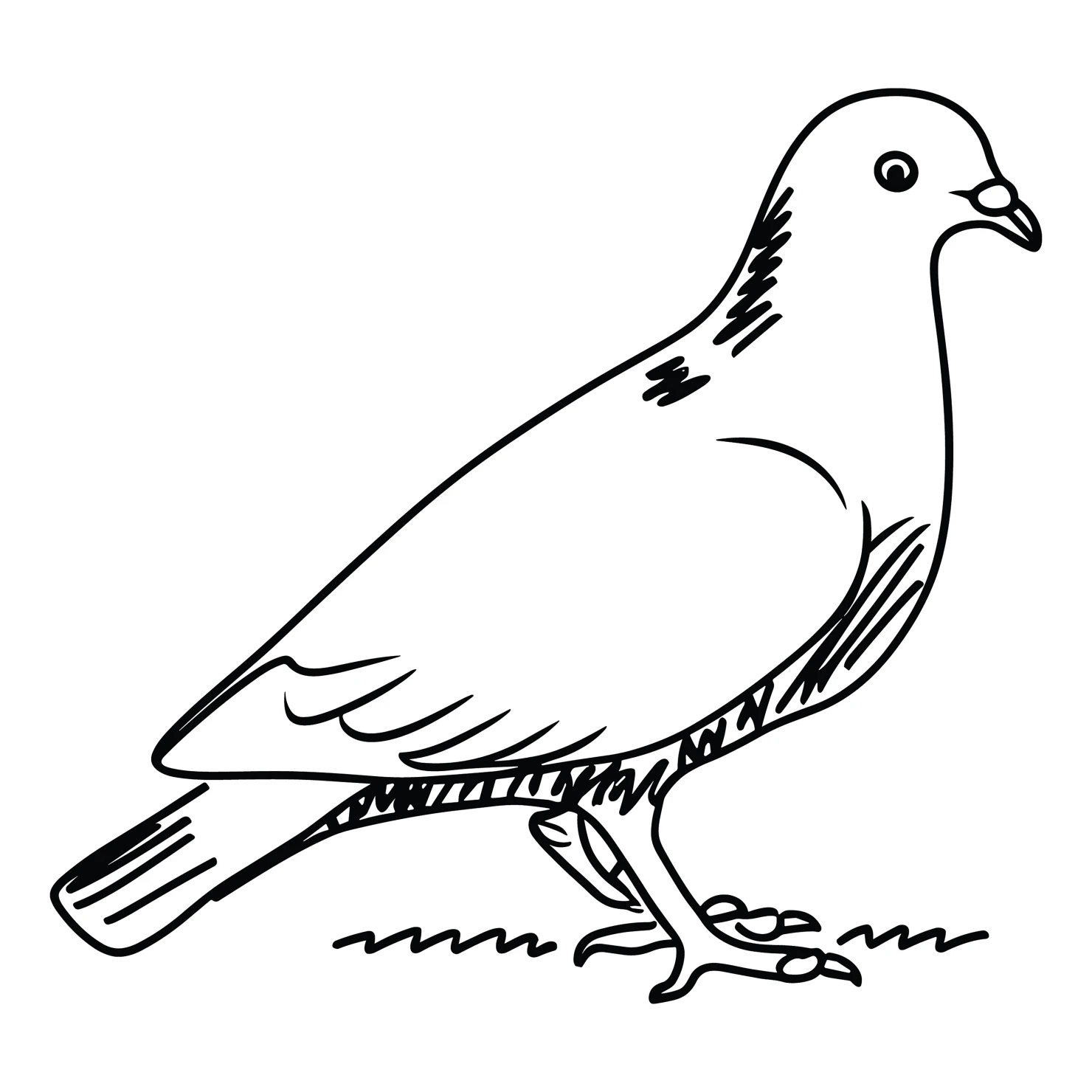 Pigeon customizable clip art design #36483