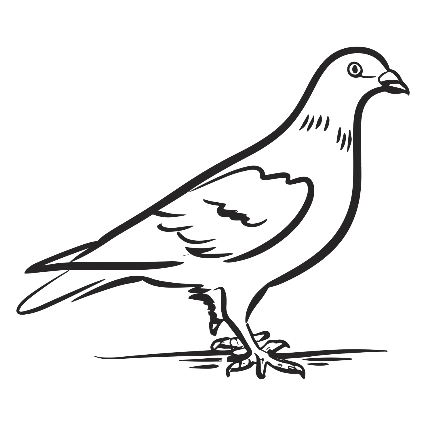 Pigeon customizable clip art design #36485