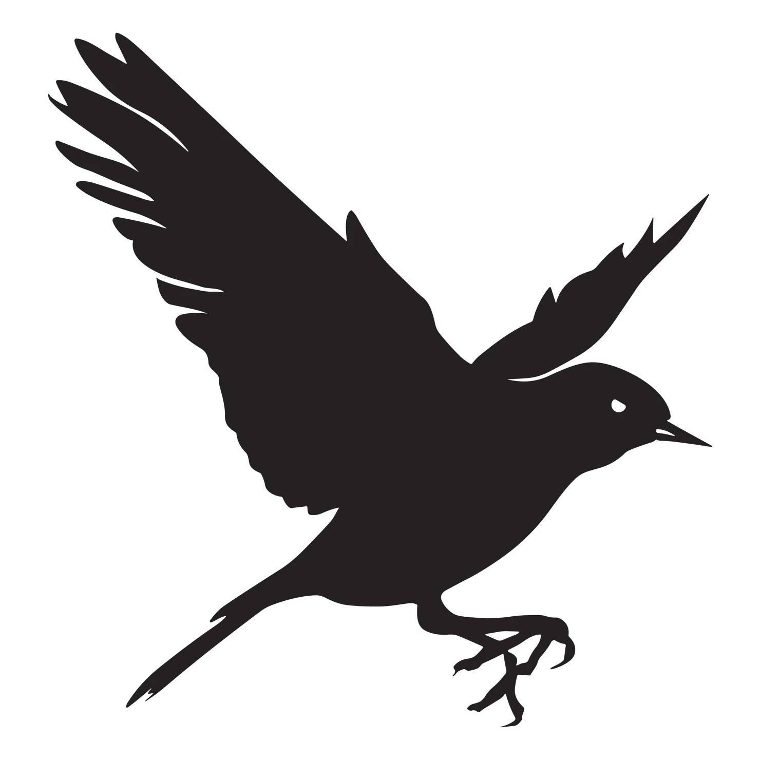 Robin customizable silhouettes design #36490