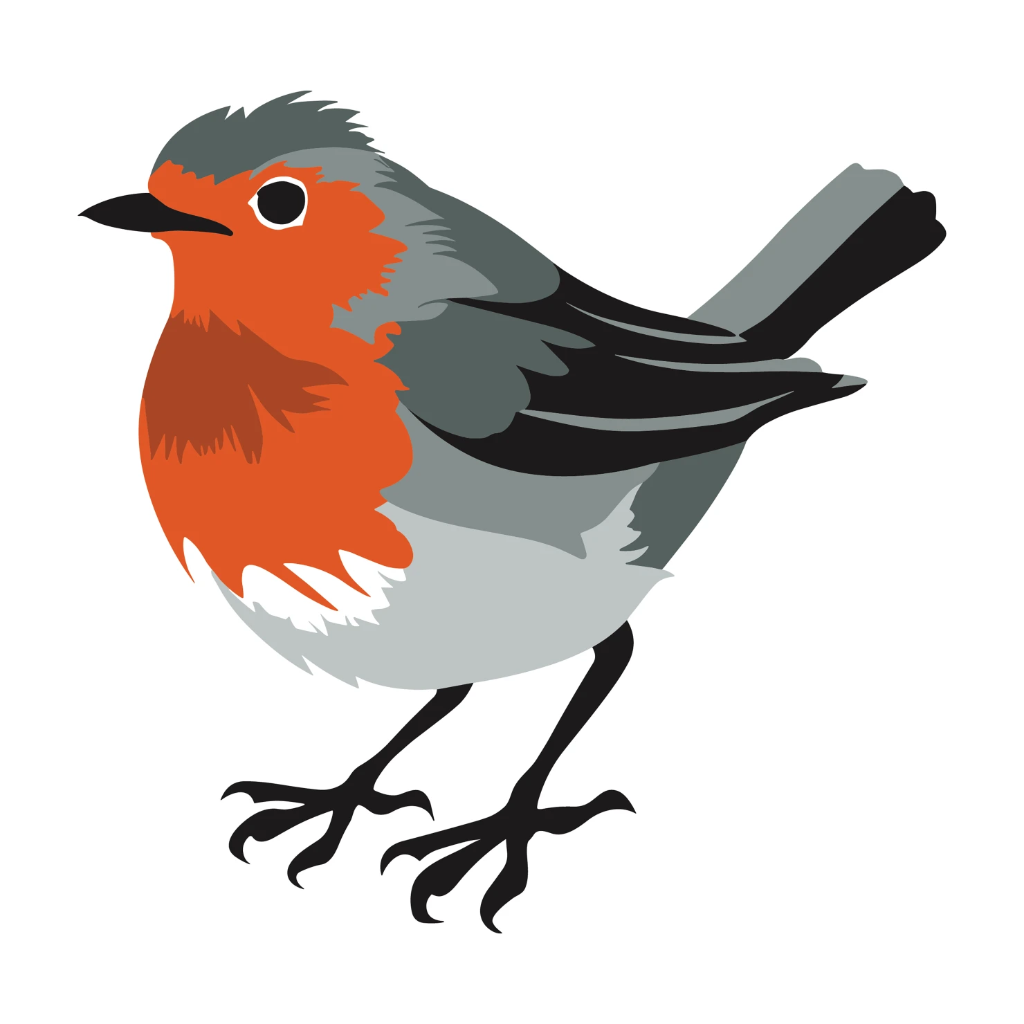 Robin customizable clip art design #36501