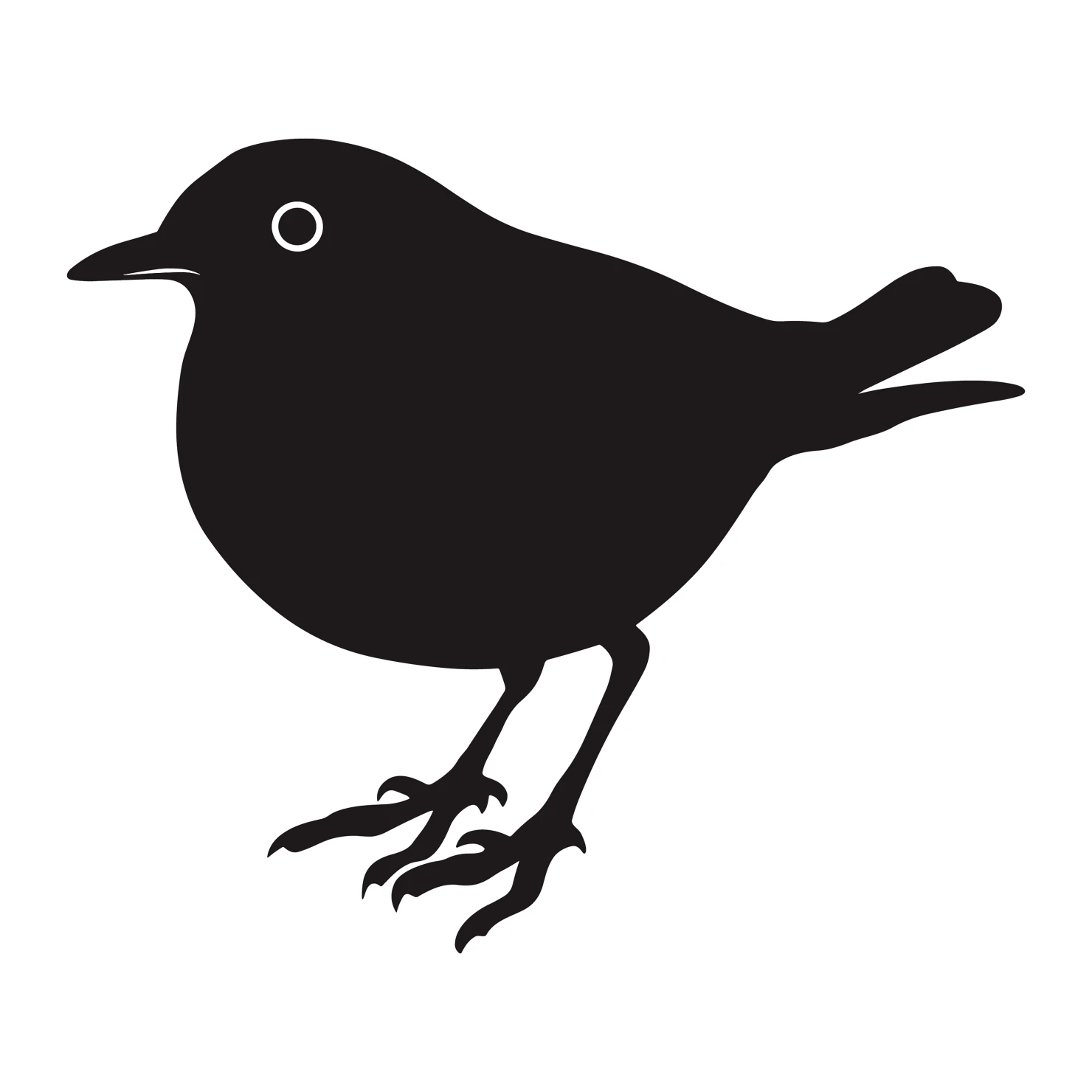 Robin customizable silhouettes design #36504