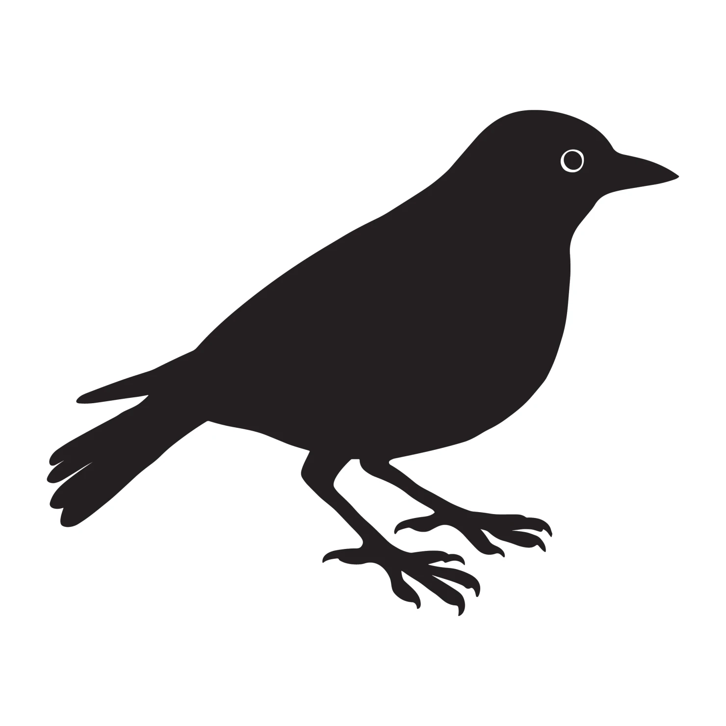 Robin customizable silhouettes design #36505