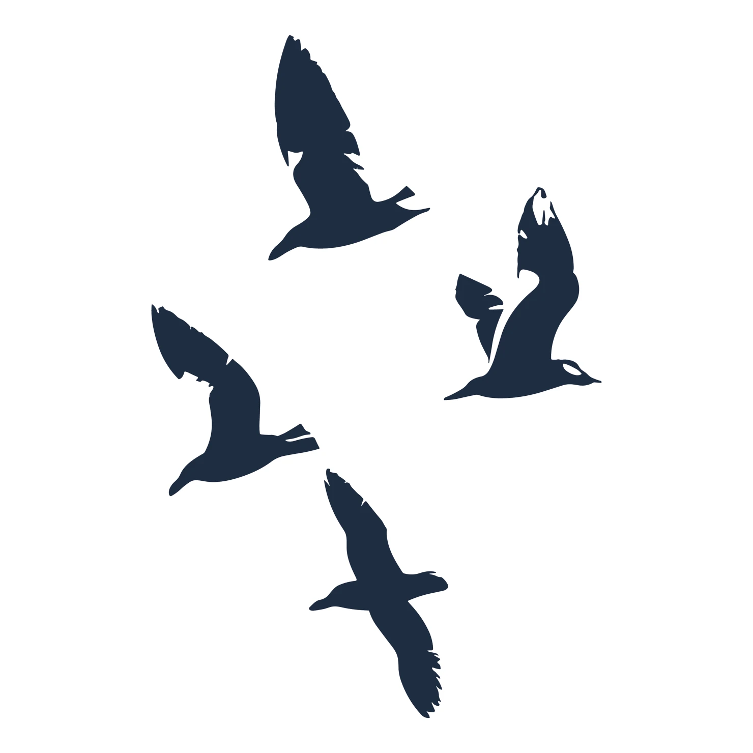 seagull customizable silhouettes design #36508