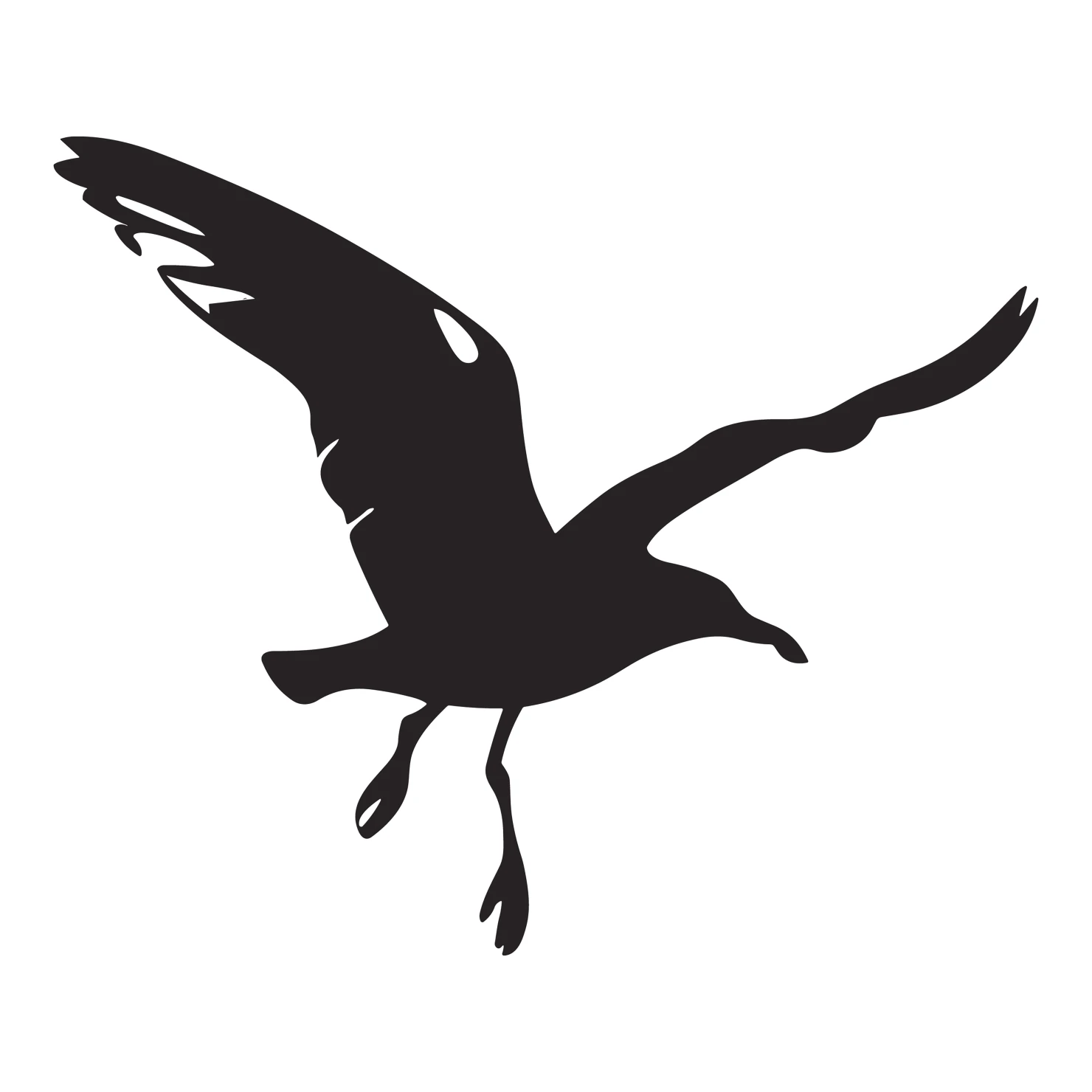 seagull customizable silhouettes design #36510