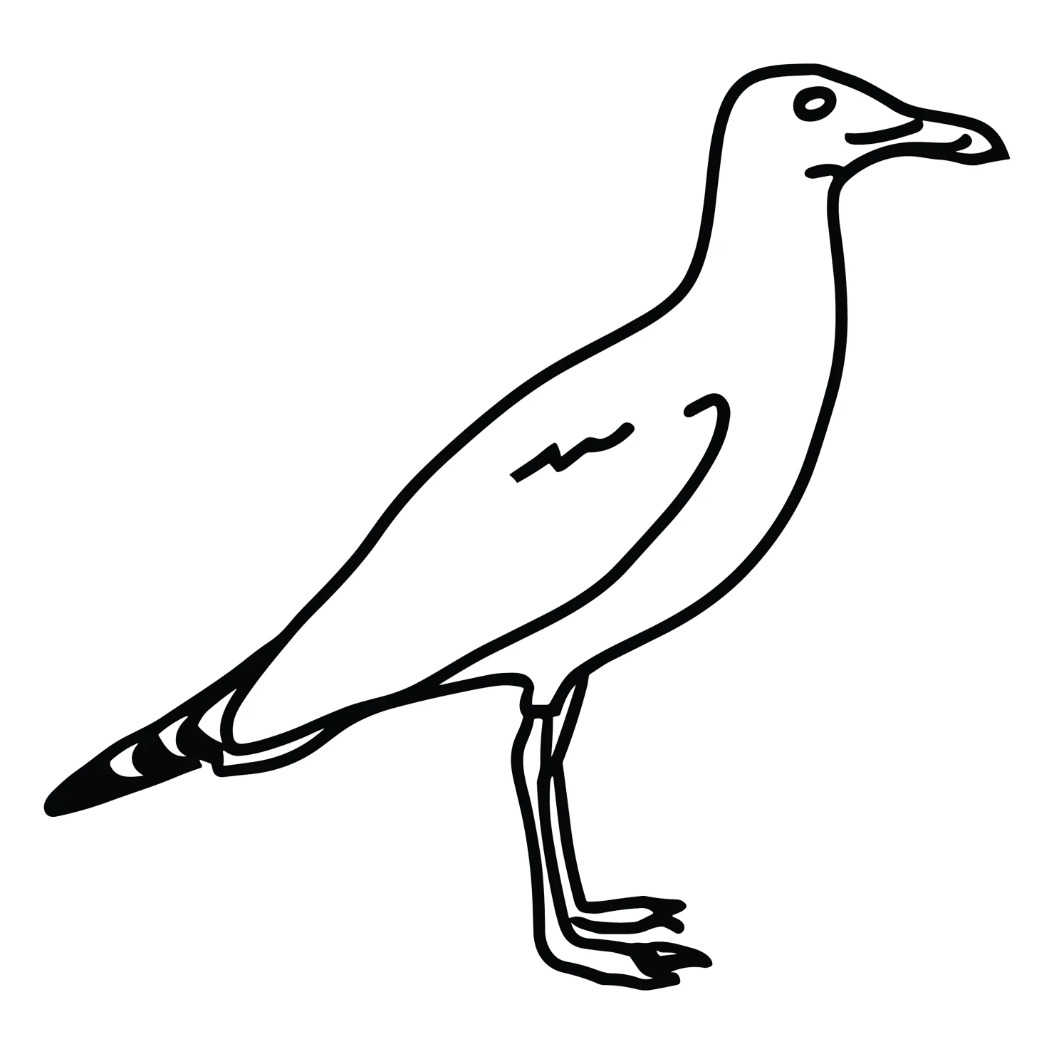 seagull customizable clip art design #36522
