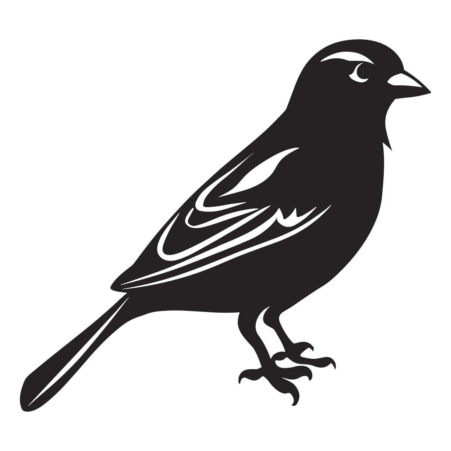 sparrow customizable silhouettes design #36538