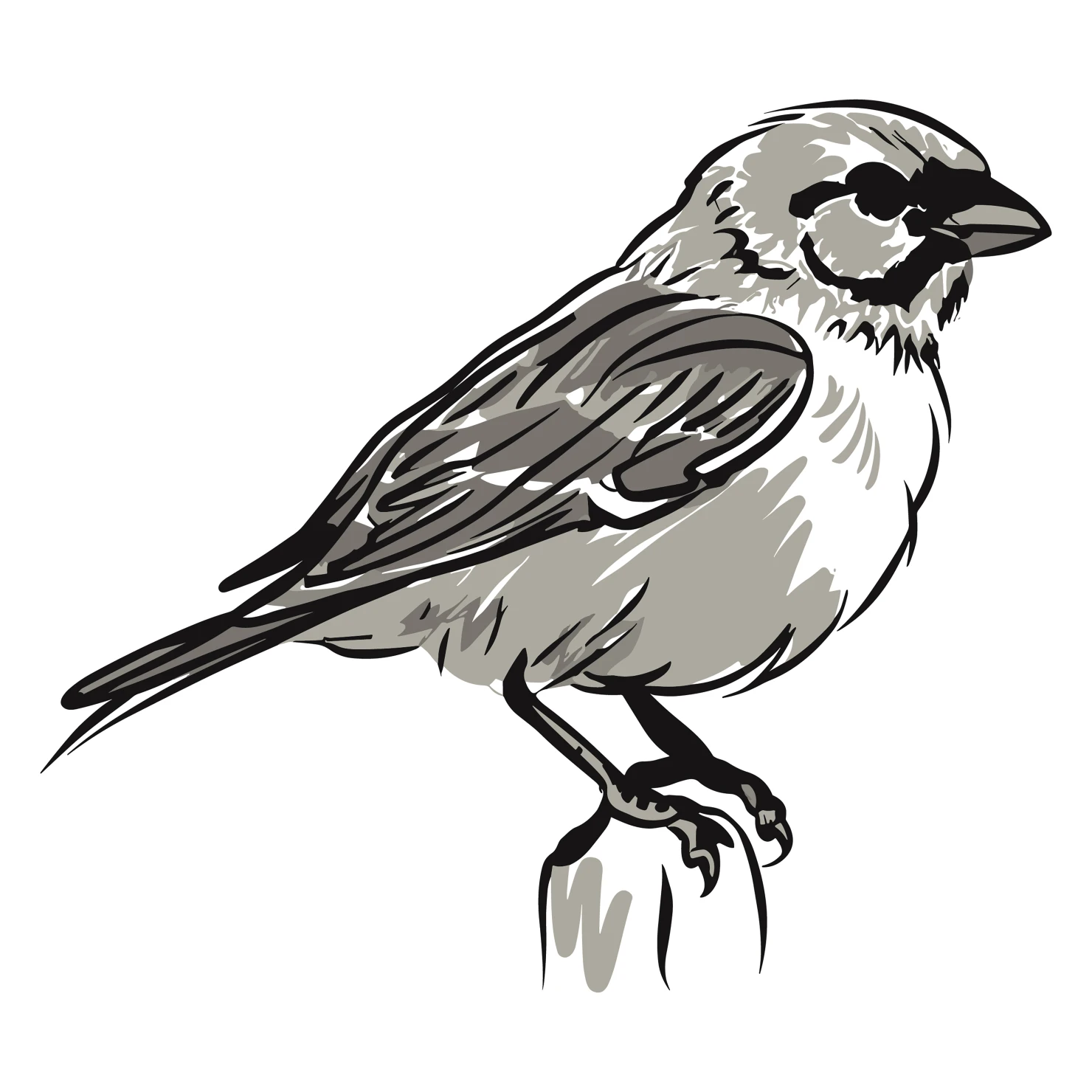 sparrow customizable clip art design #36543