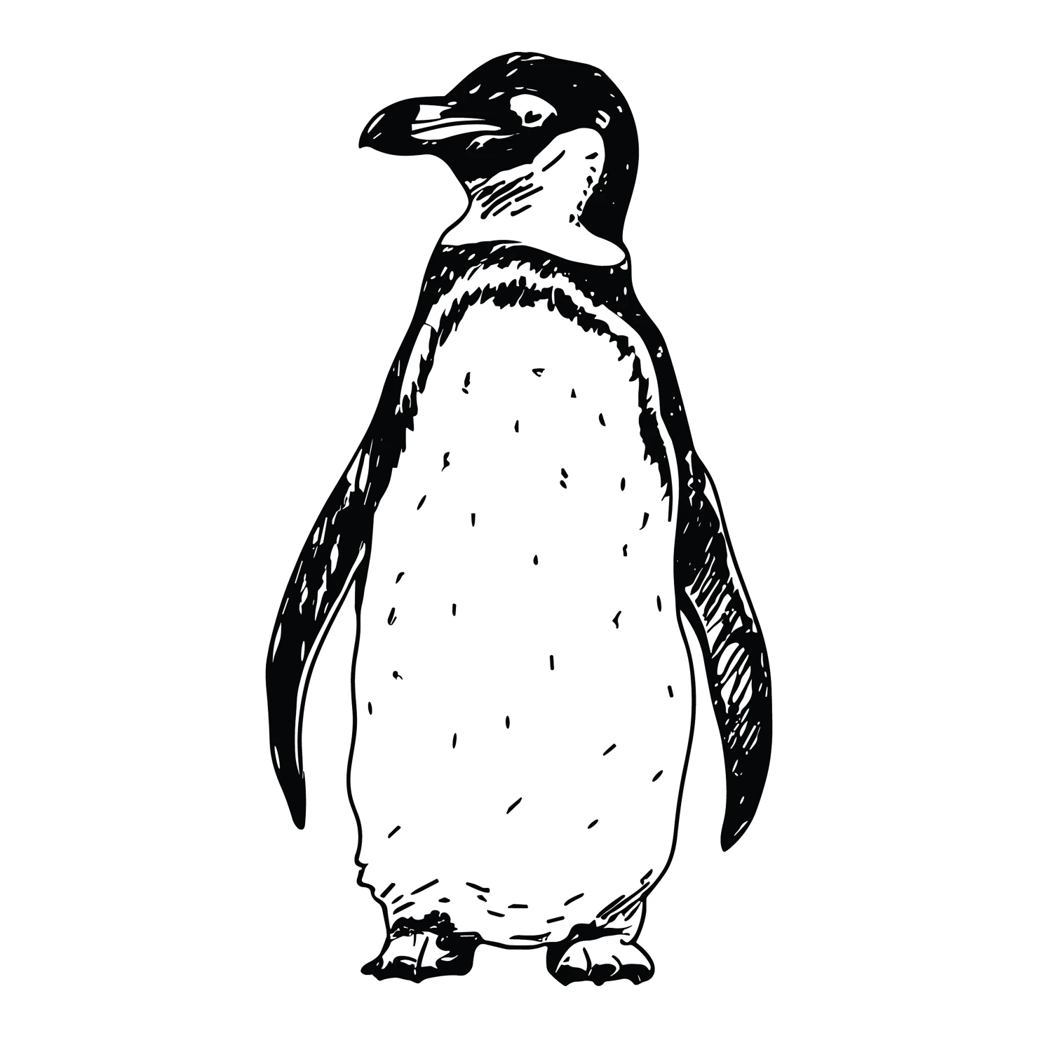 Penguin customizable clip art design #36547