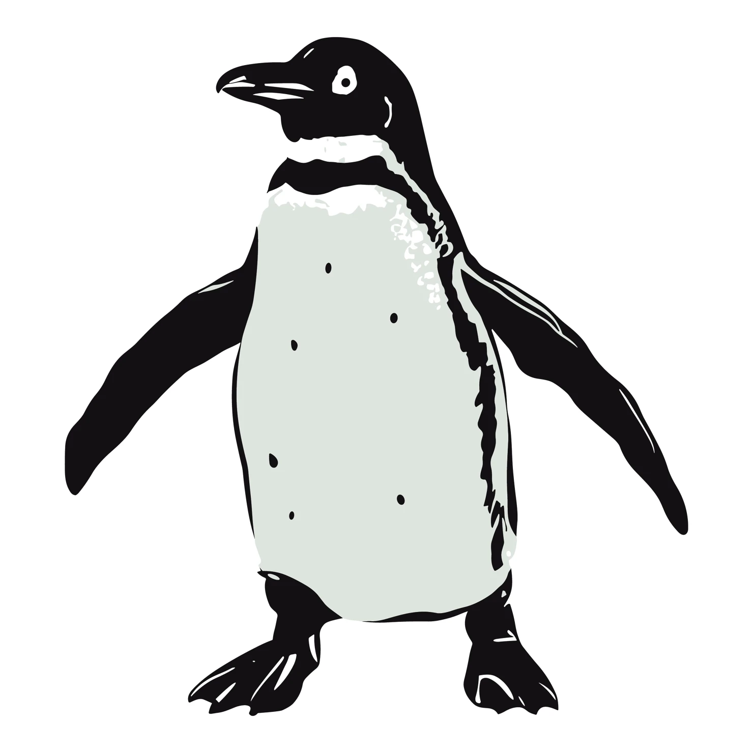Penguin customizable clip art design #36560