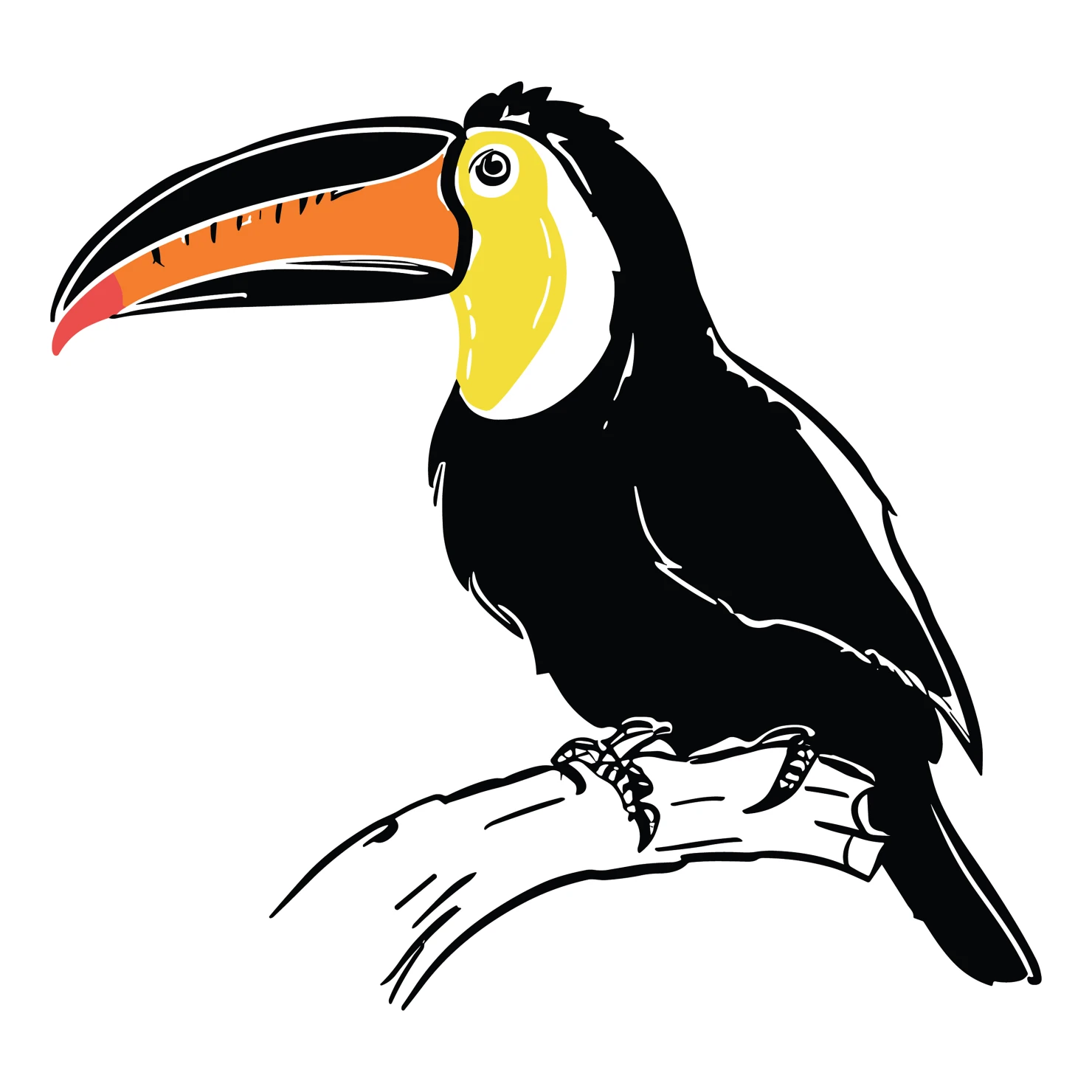 Toucan customizable clip art design #36568
