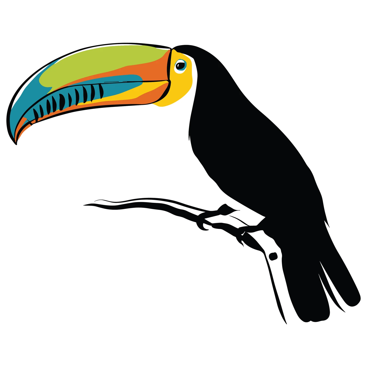 Toucan customizable clip art design #36576