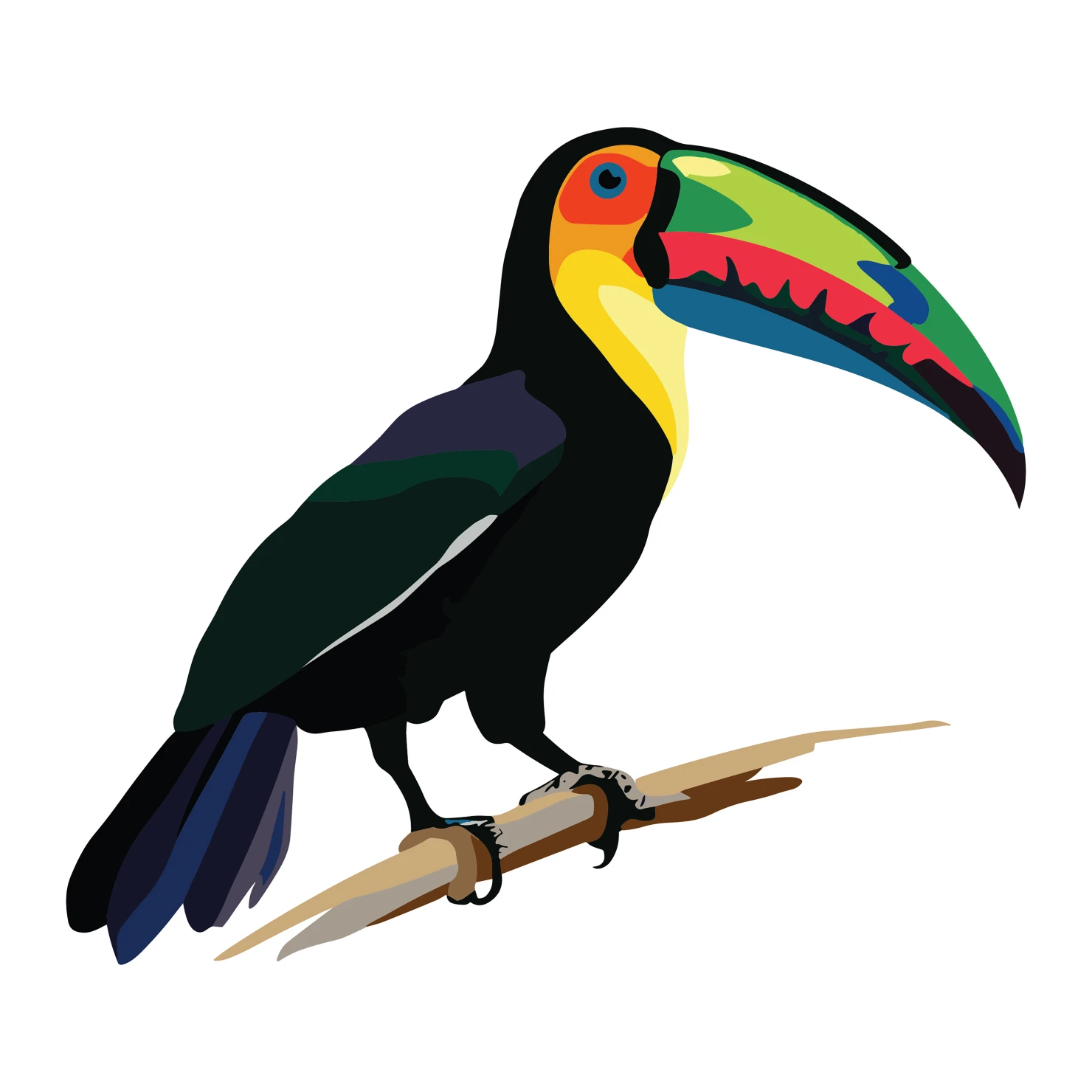 Toucan customizable clip art design #36581