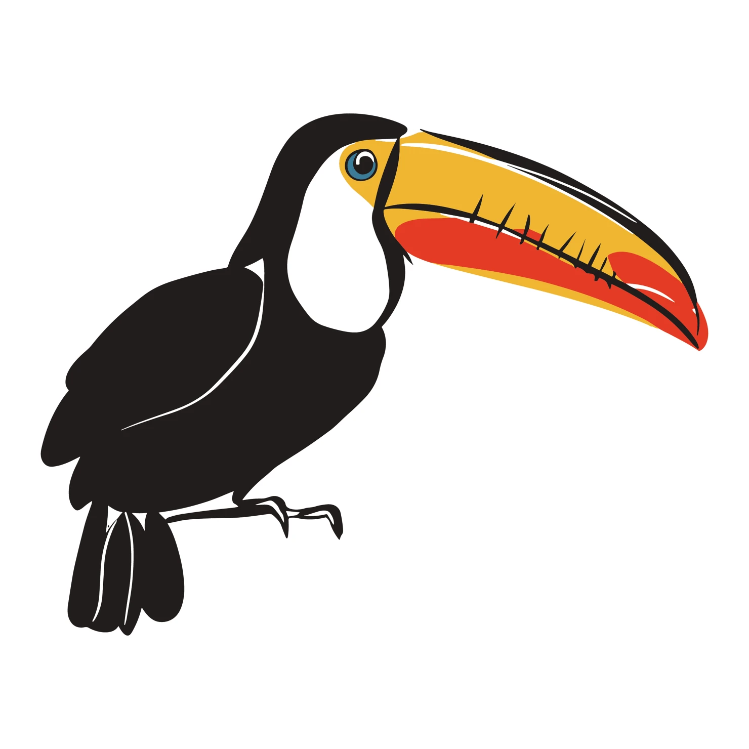 Toucan customizable clip art design #36582
