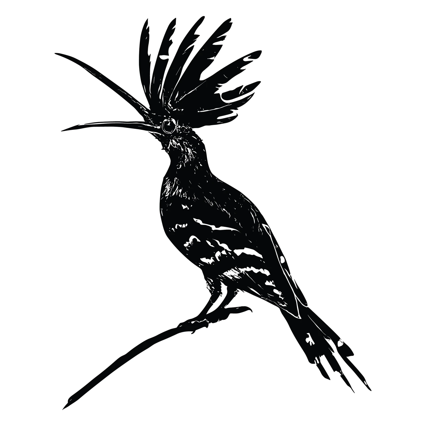 Hoopoe customizable silhouettes design #36626