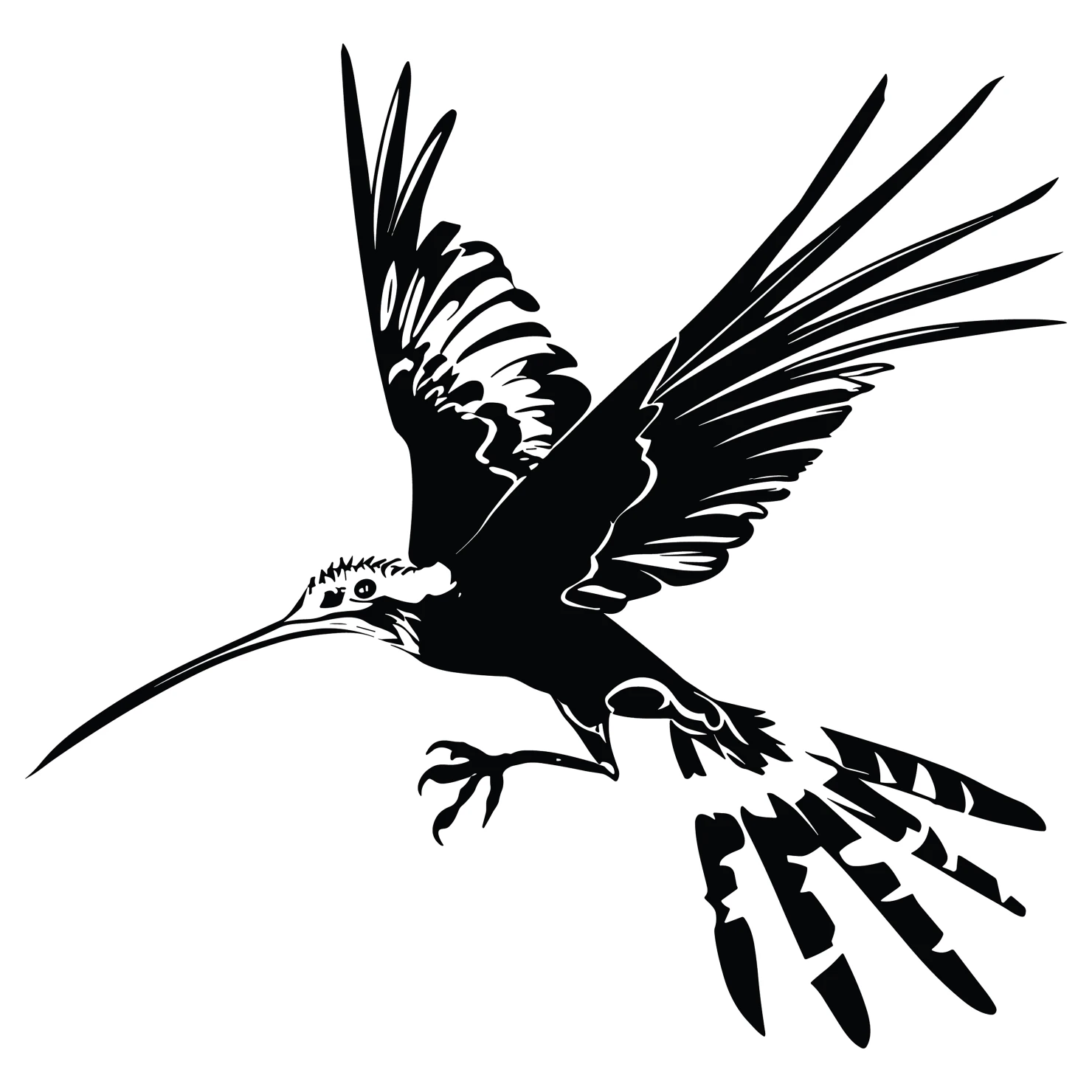 Hoopoe customizable silhouettes design #36628