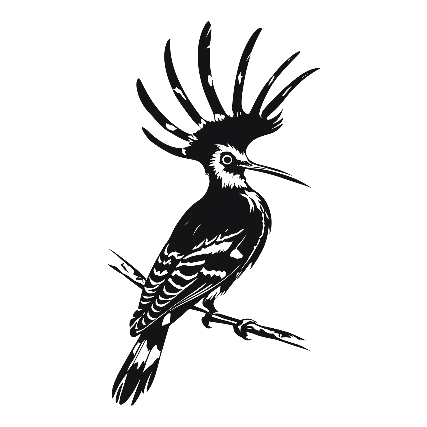 Hoopoe customizable silhouettes design #36631