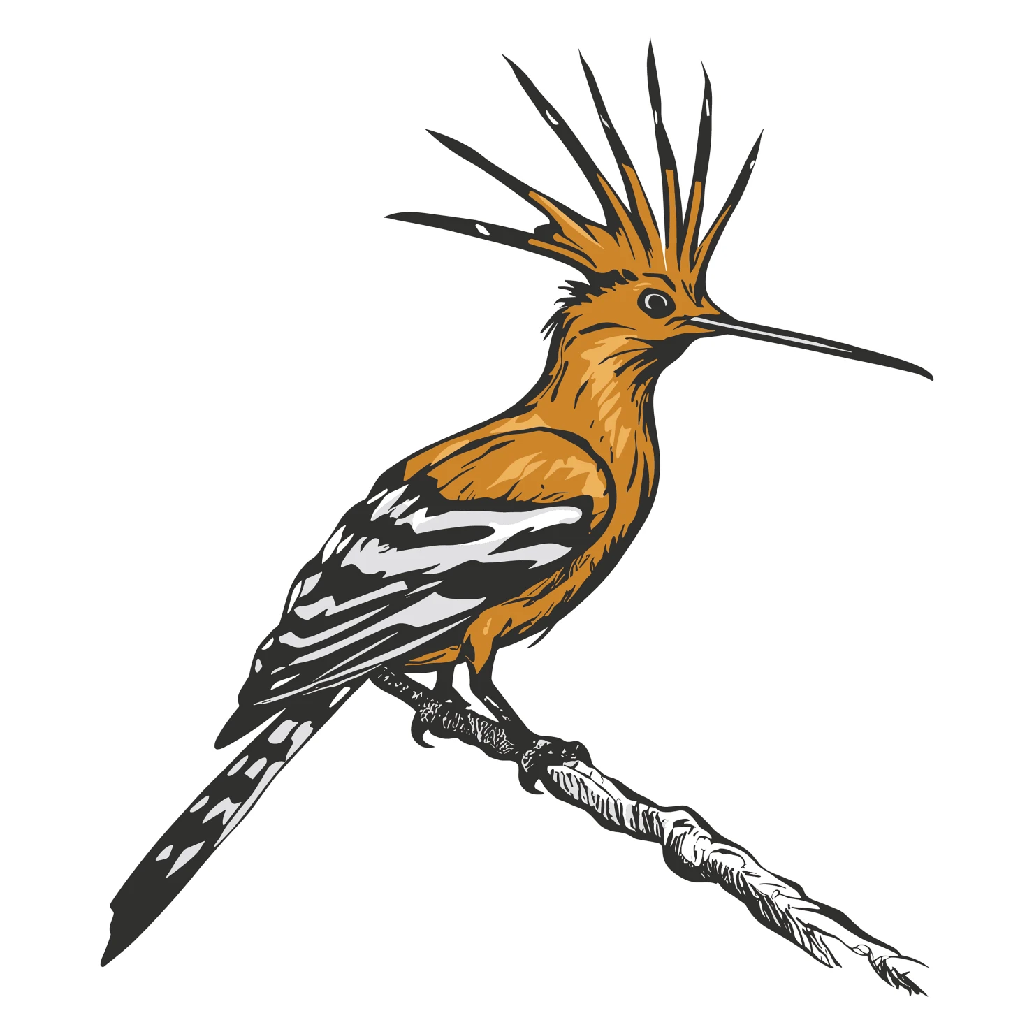 Hoopoe customizable clip art design #36640