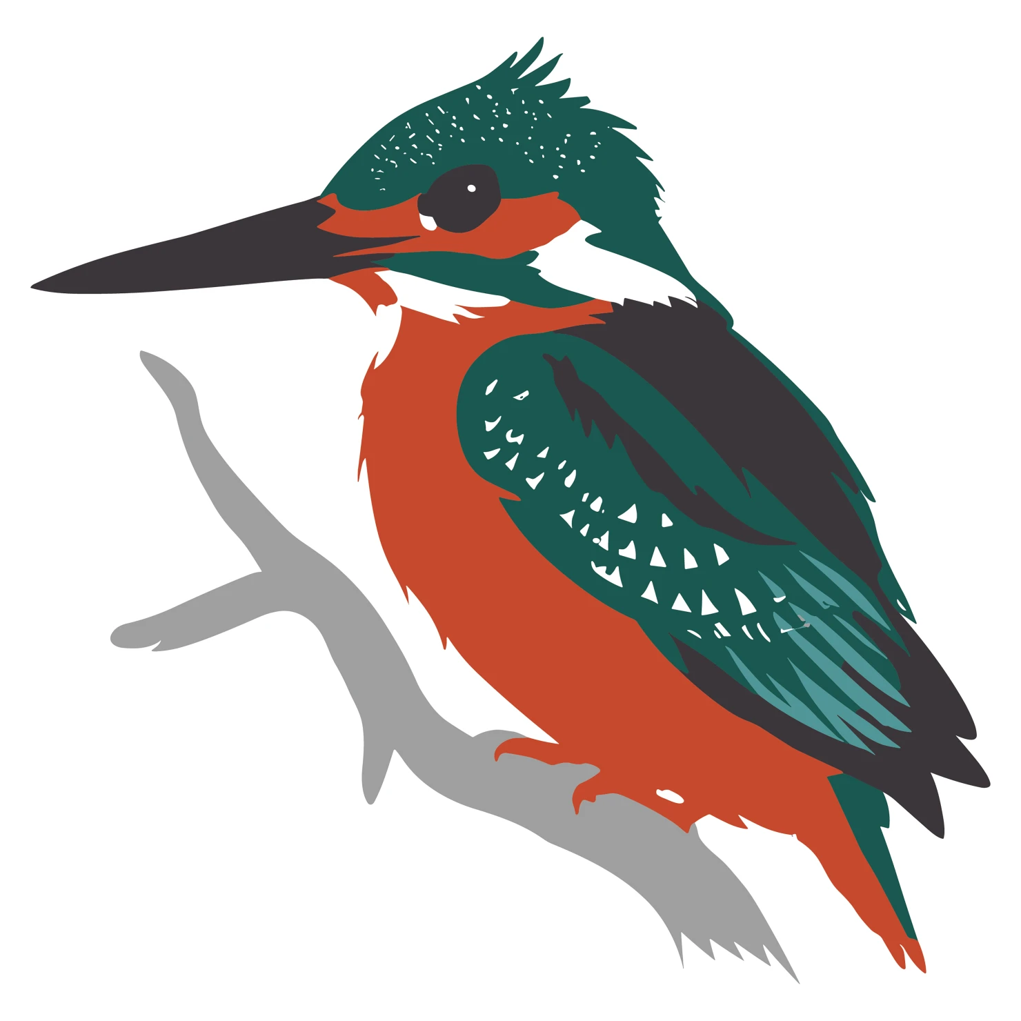 Kingfisher customizable clip art design #36650