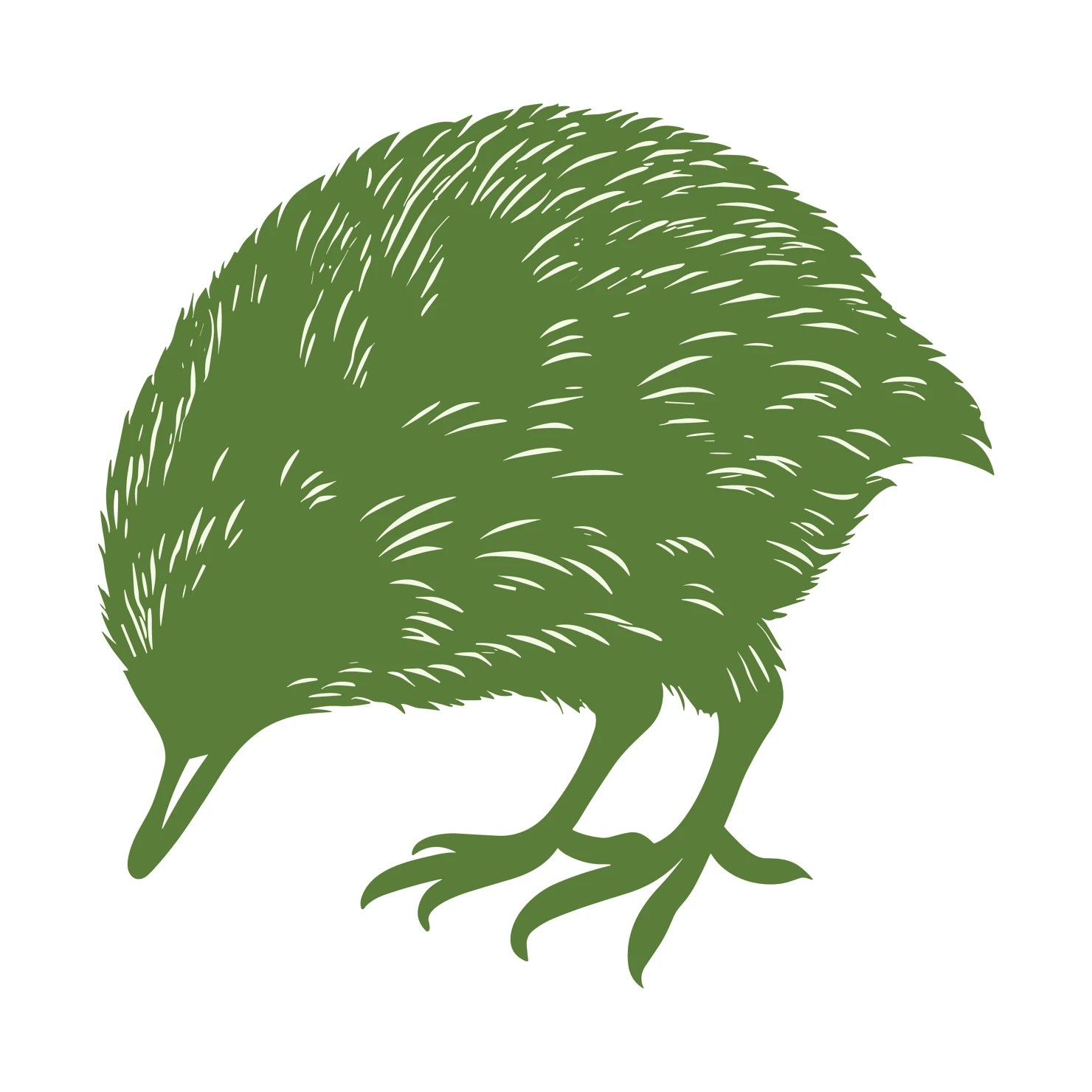 Kiwi customizable clip art design #36666