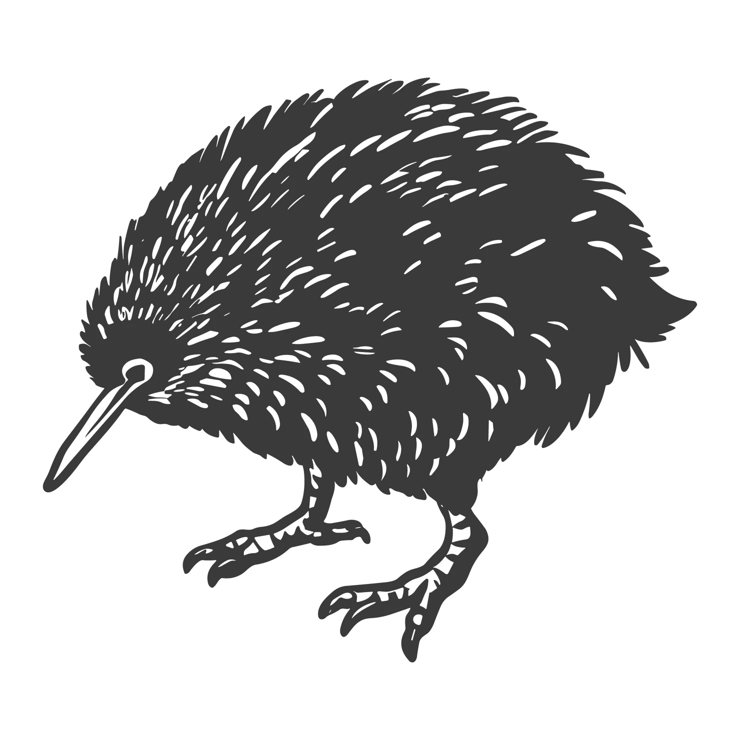 Kiwi customizable clip art design #36669