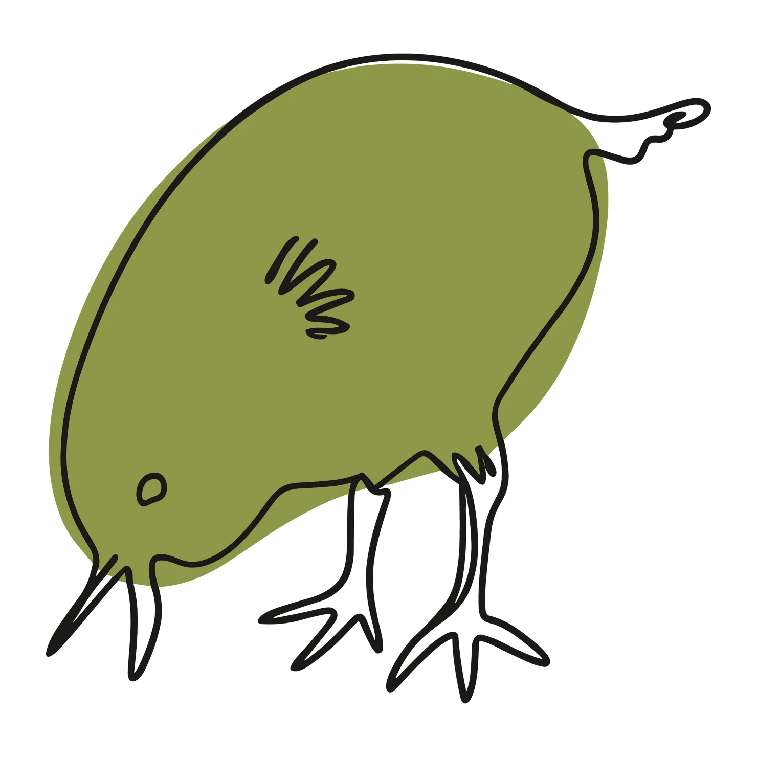 Kiwi customizable clip art design #36677