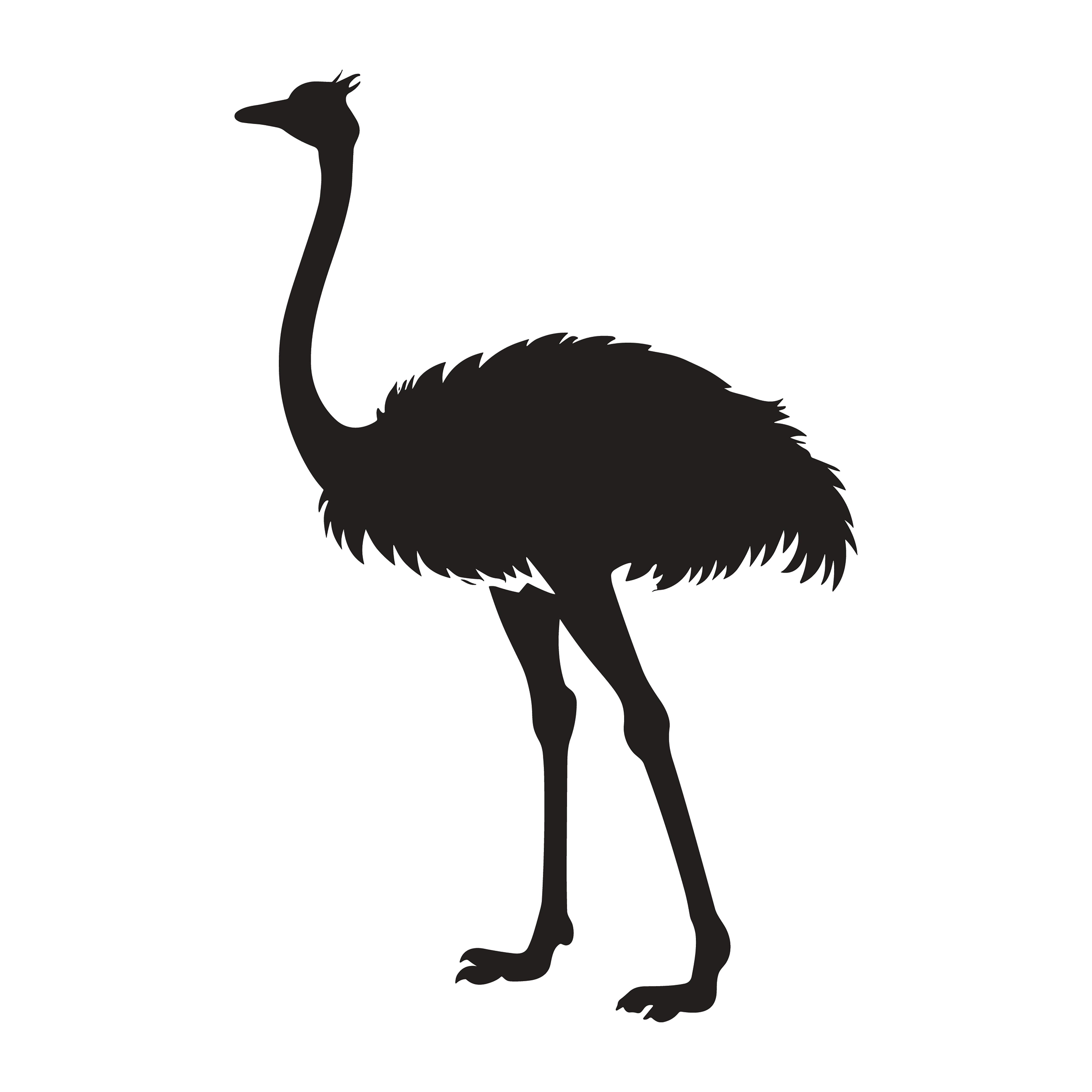 Ostrich customizable silhouettes set design #36946