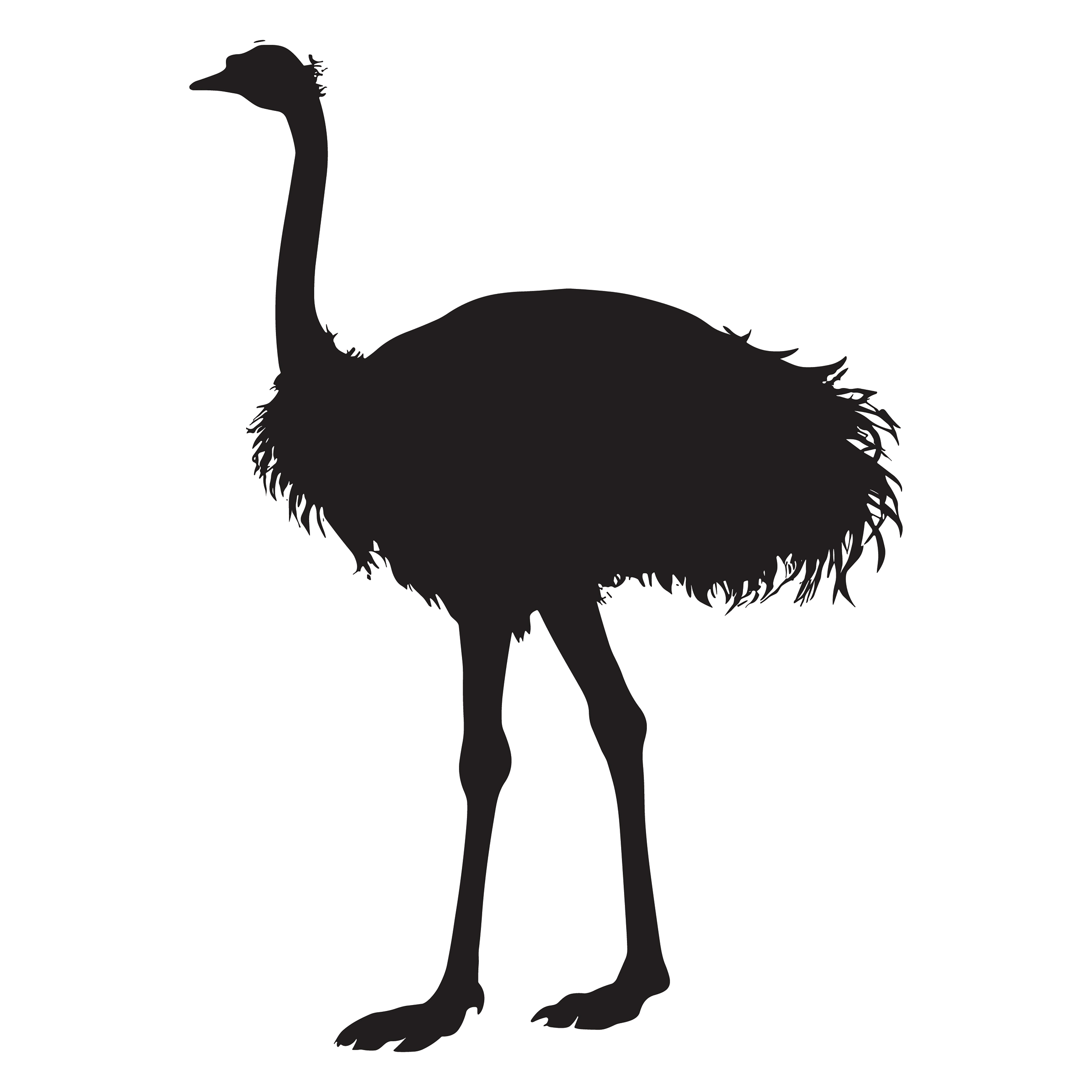 Ostrich customizable silhouettes set design #36947