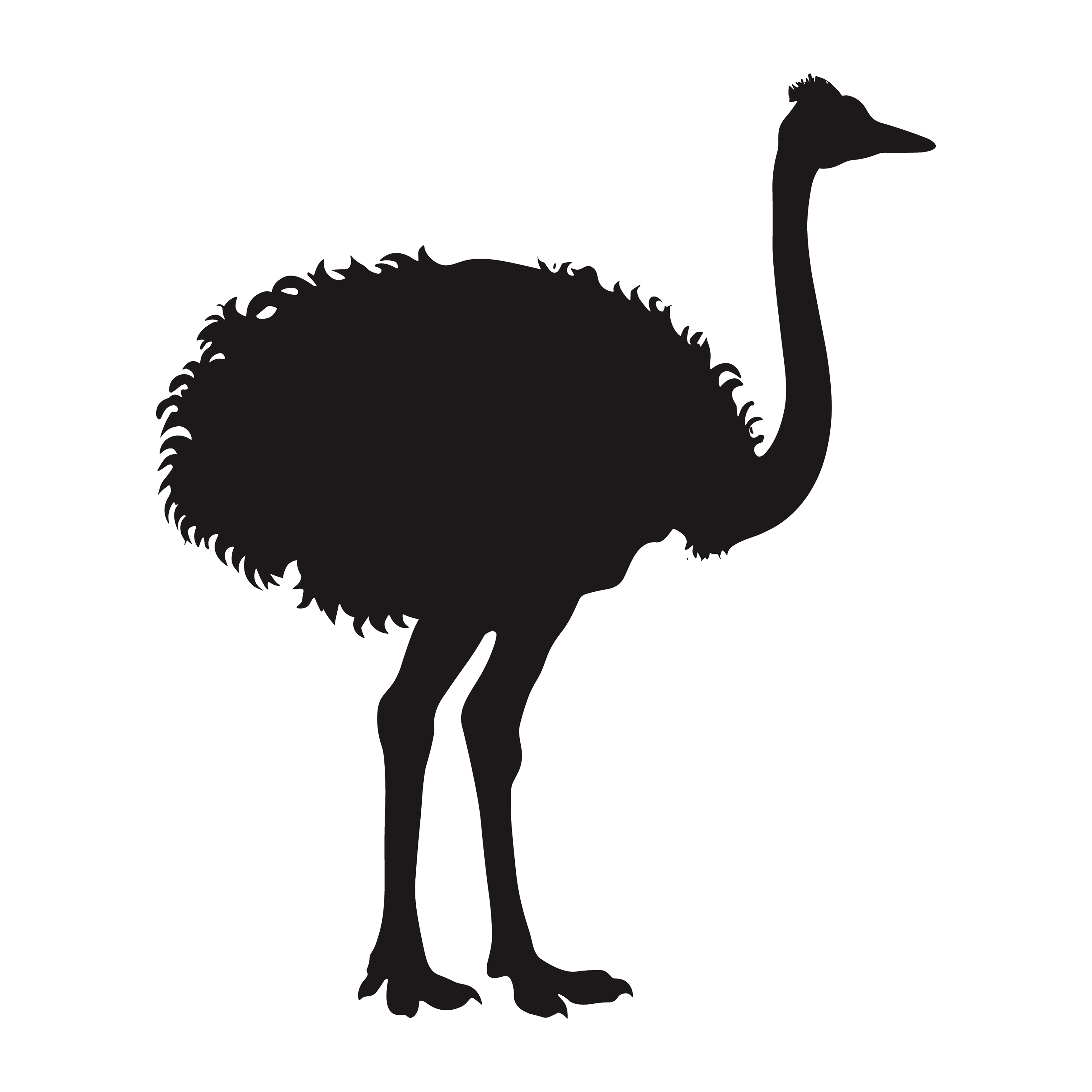 Ostrich customizable silhouettes set design #36948