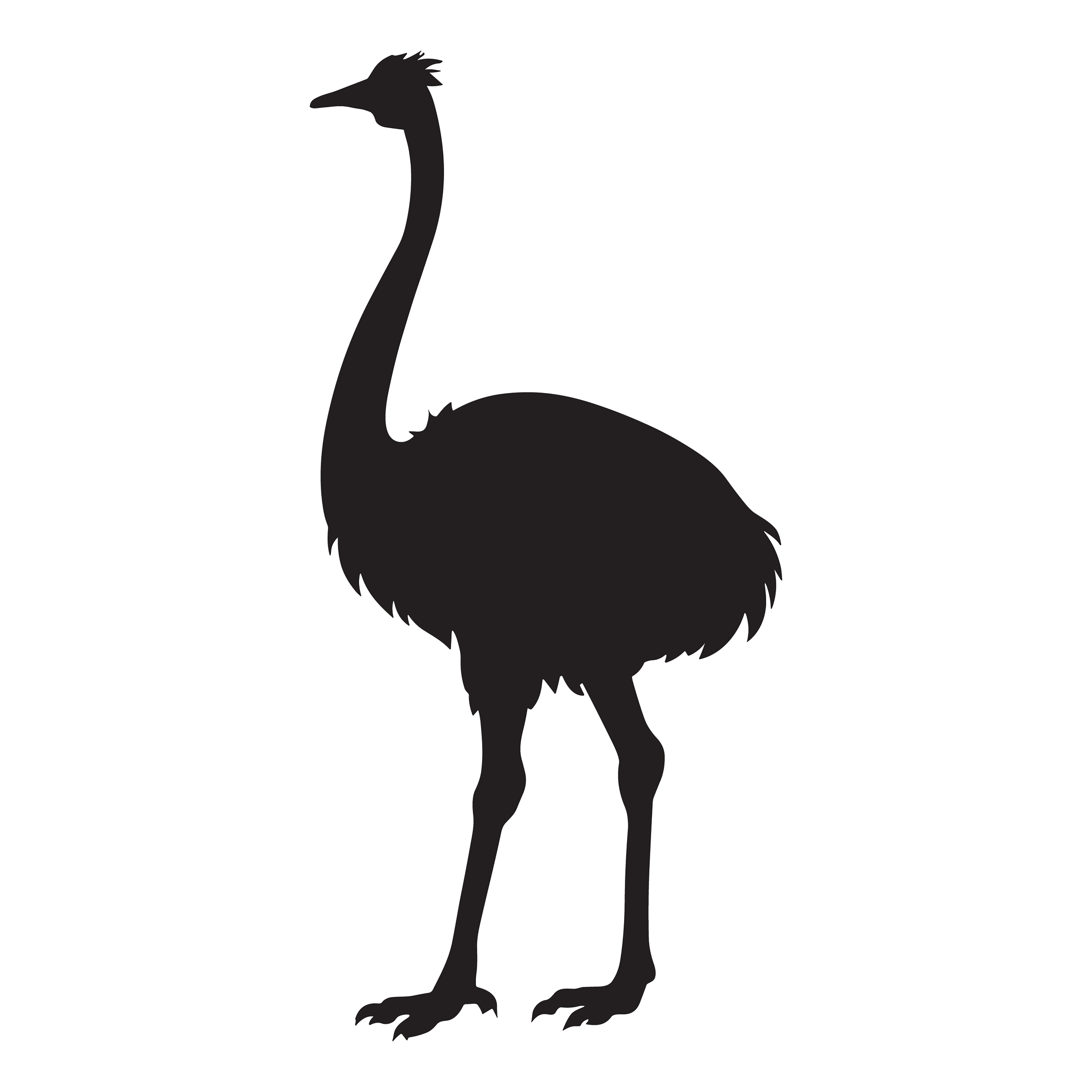 Ostrich customizable silhouettes set design #36949
