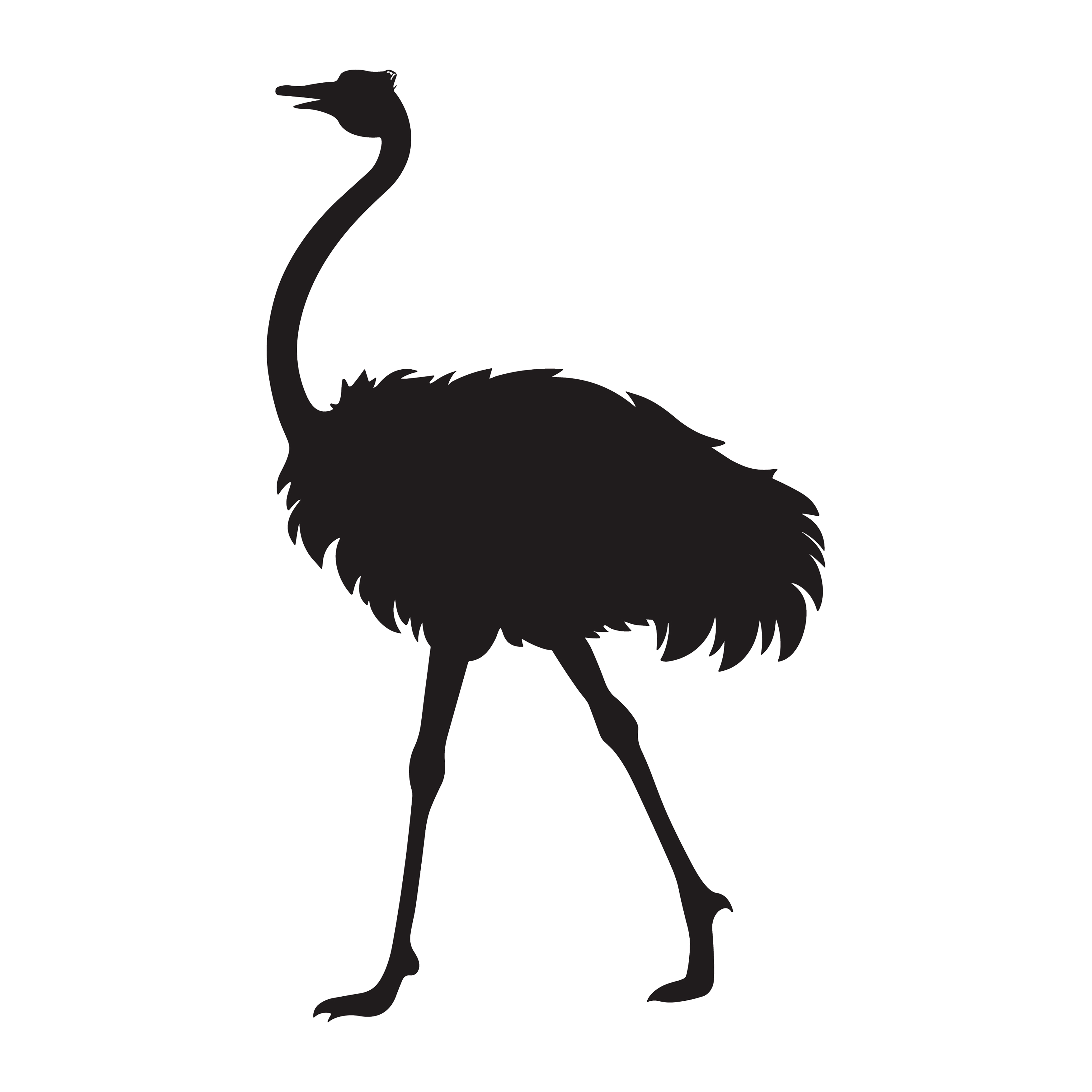 Ostrich customizable silhouettes set design #36950